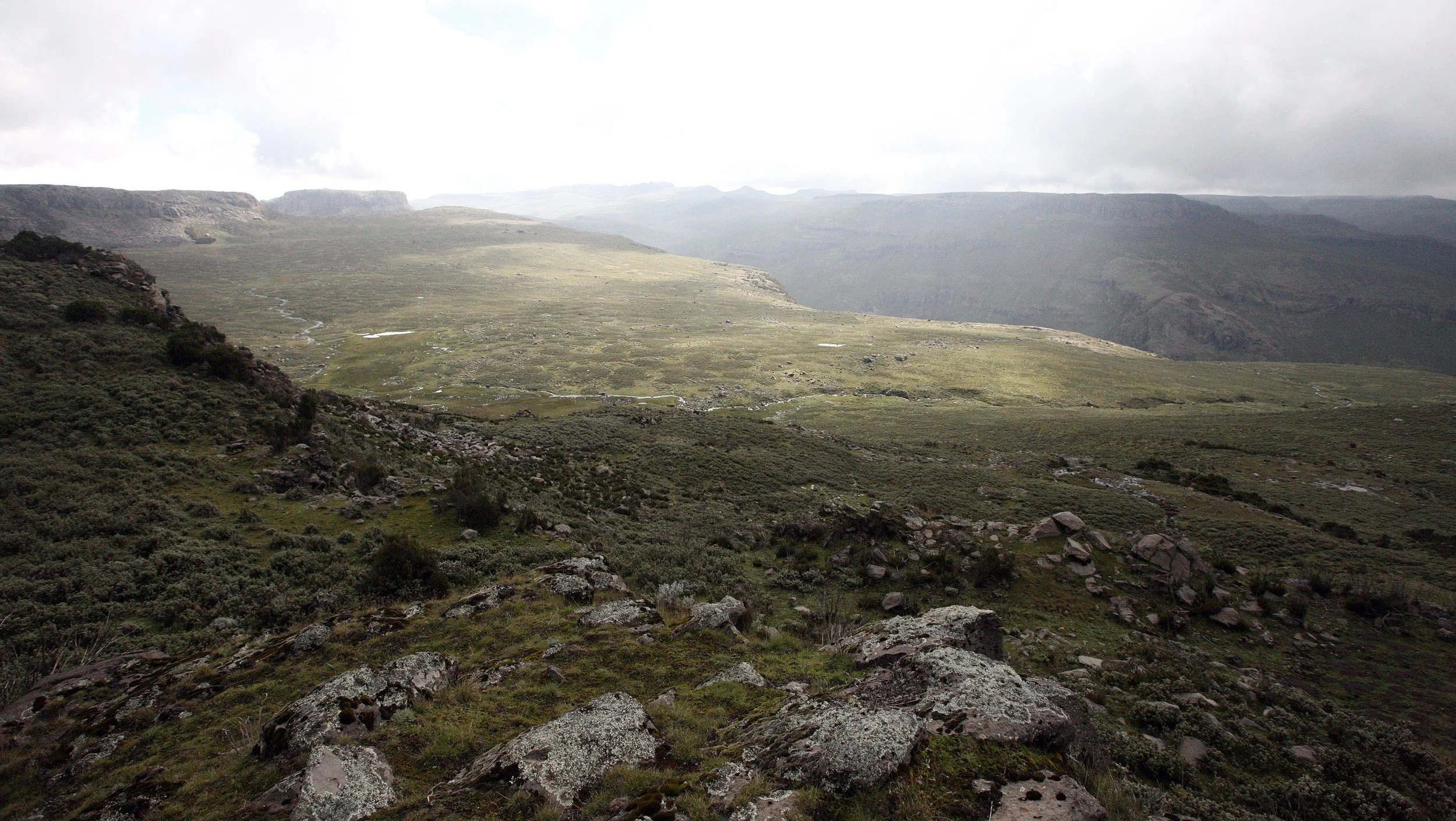 BALE MOUNTAINS NATIONAL PARK - SANETTI PLATEAU (42).JPG