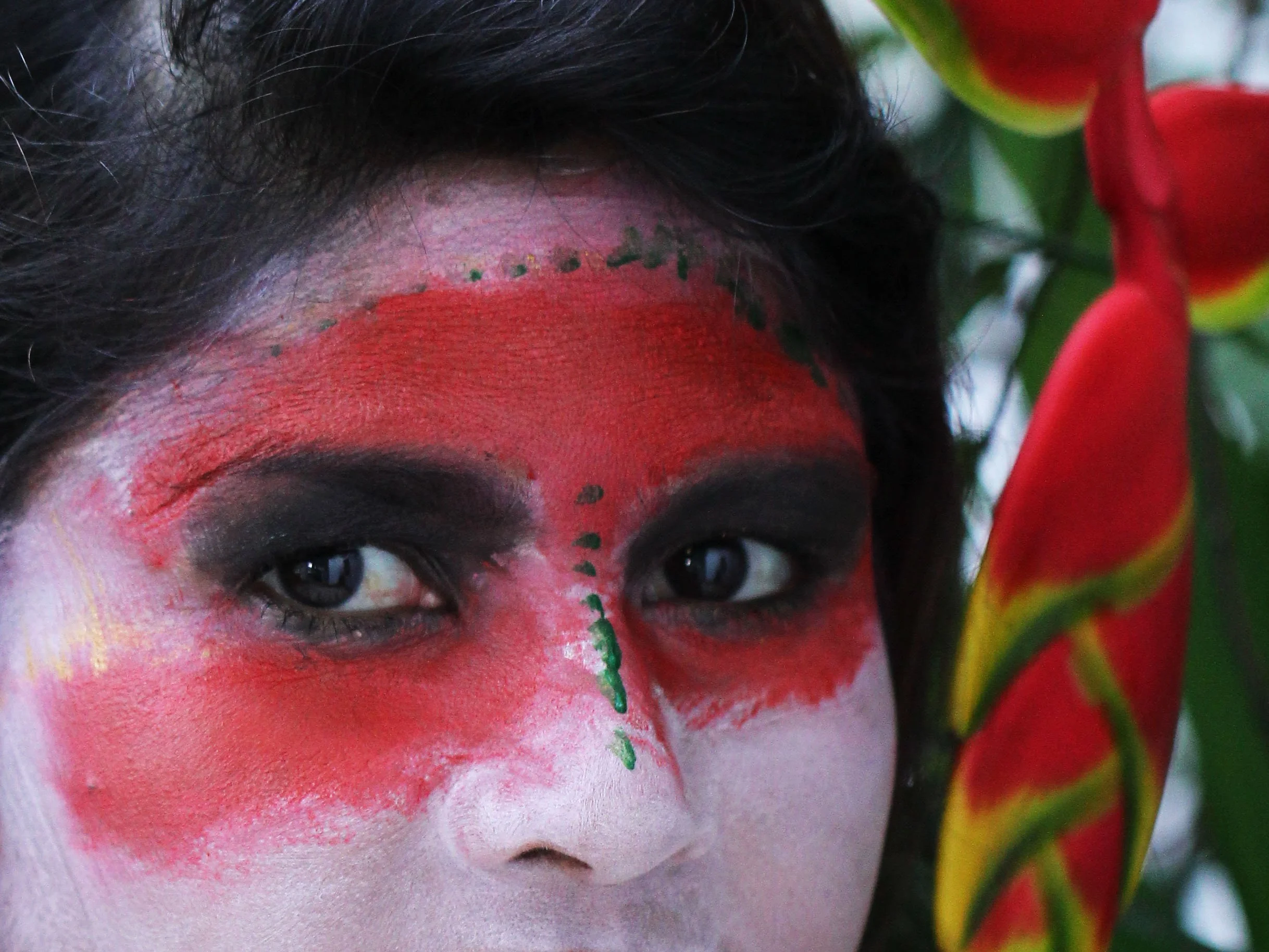 2015 Som's Painted Face (23).JPG