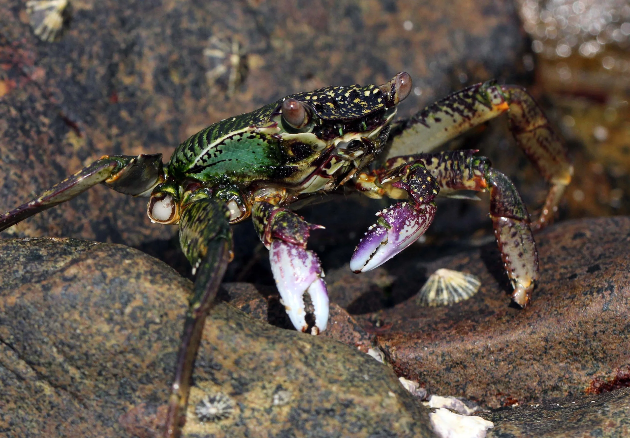 2013 KOH LANTA - OCTOBER BREAK 2013 (212).JPG