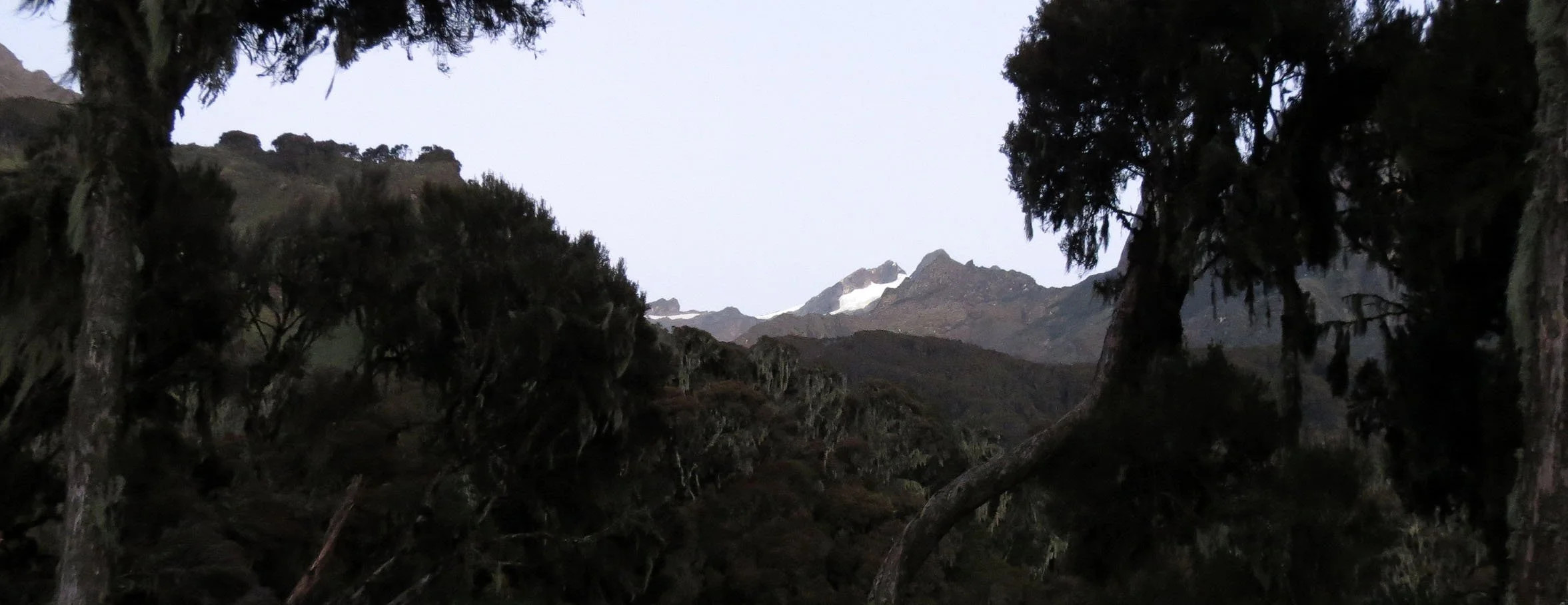 RWENZORI NATIONAL PARK UGANDA (190).JPG
