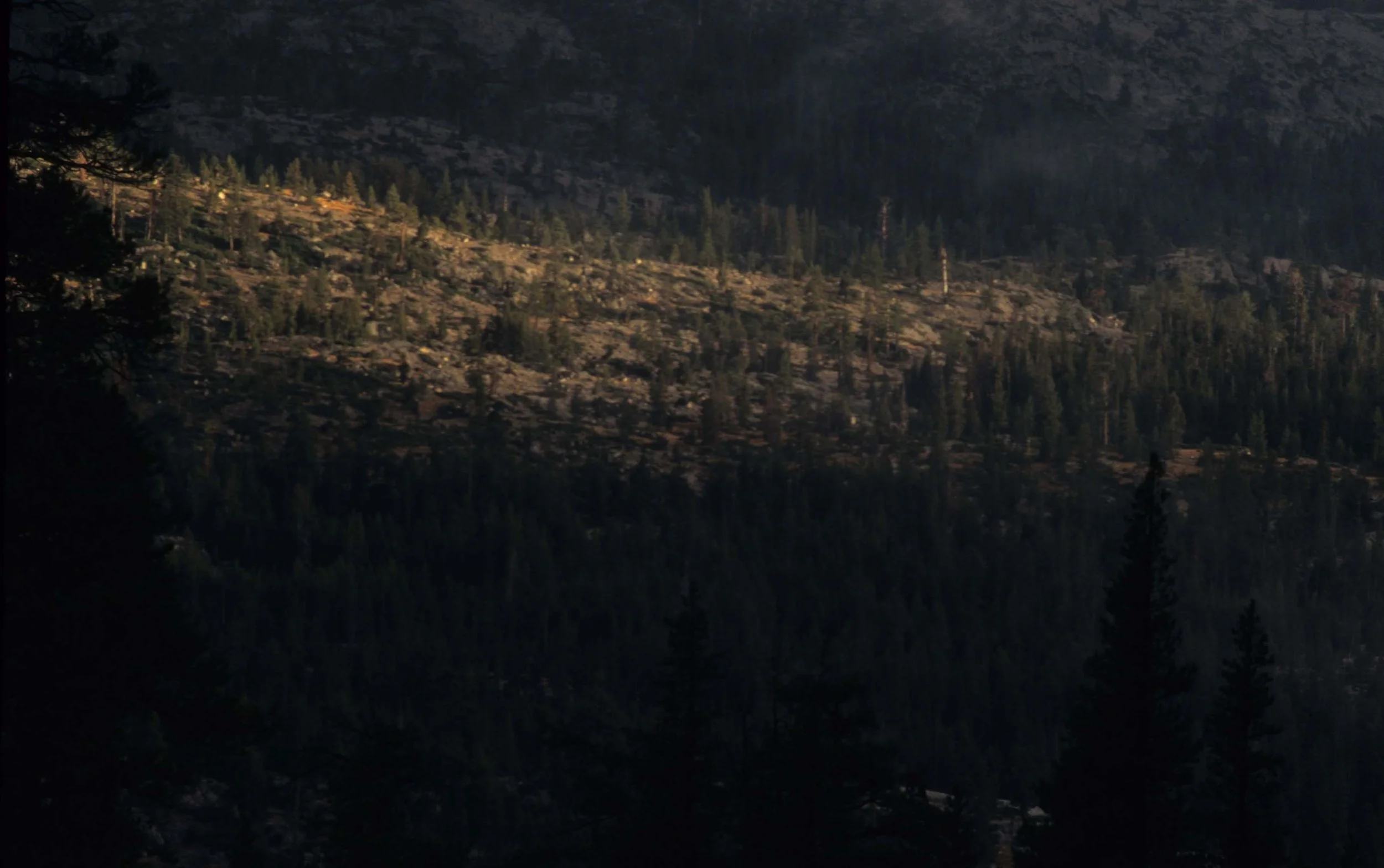 CALIFORNIA - SIERRA NEVADA MOUNTAINS (19).jpg