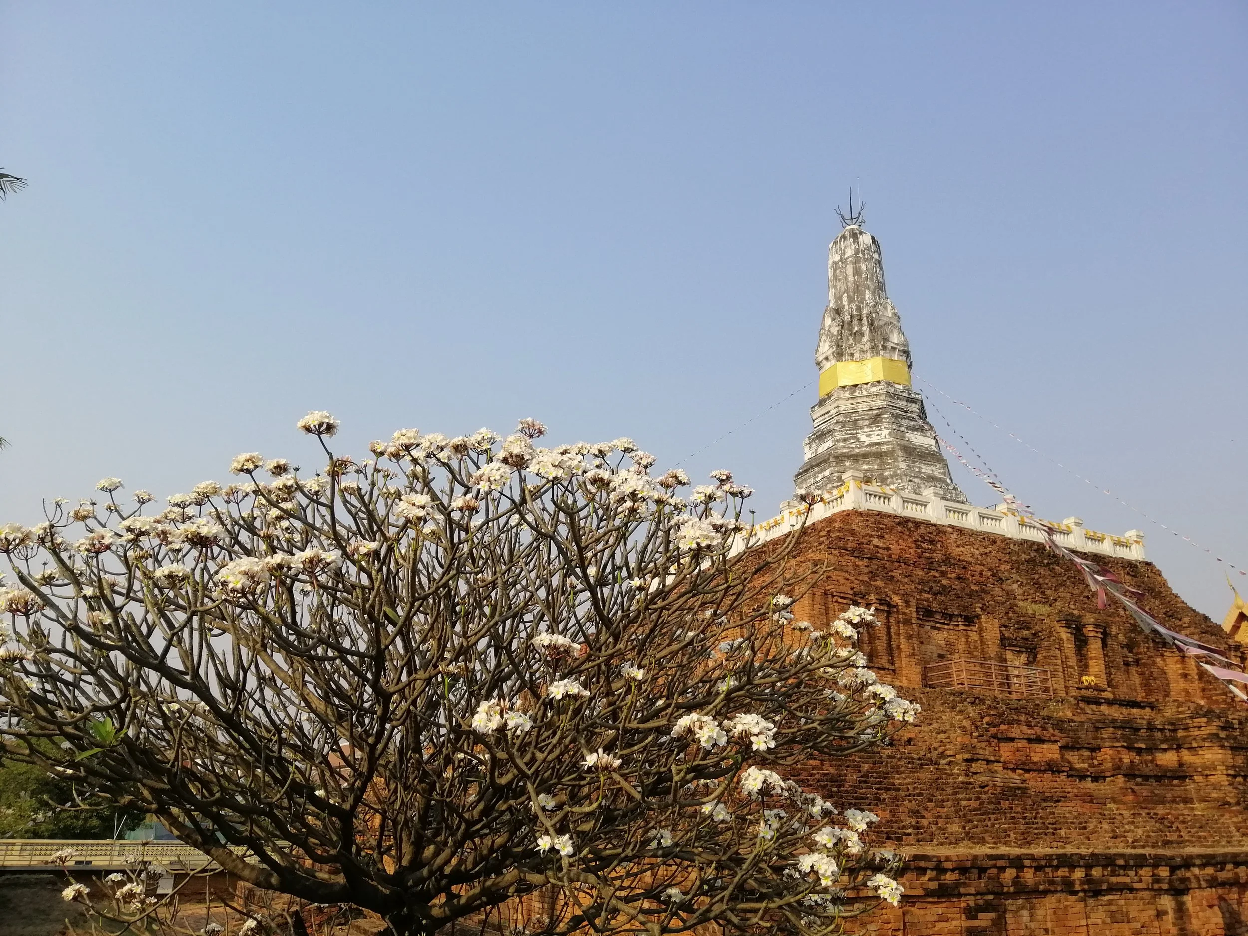 2020 Nakhon Pathom Temples & Chedis with Cokie (55).jpg