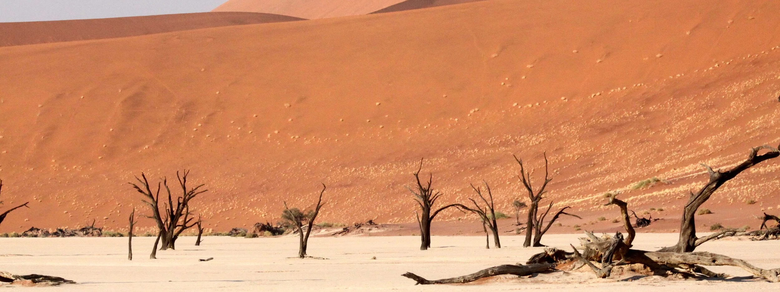SOSSUSVLEI, NAMIB NAUKLUFT NATIONAL PARK, NAMIBIA - DEAD VLEI (8).JPG