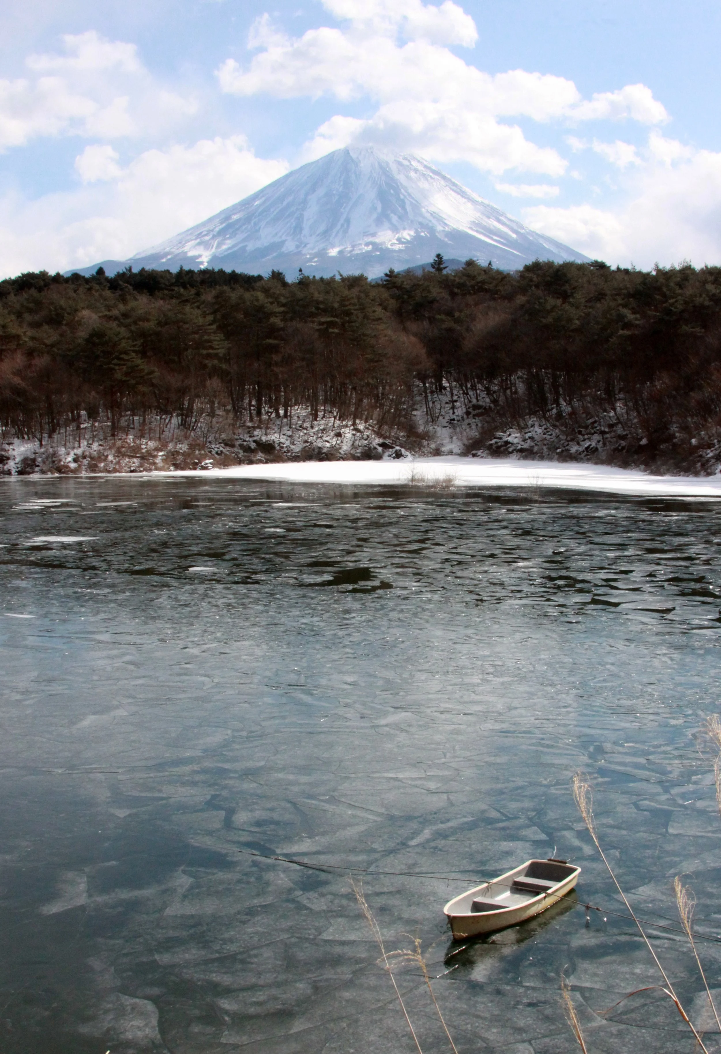 MOUNT FUJI - AS SEEN FROM LAKE SHOJI JAPAN (16).JPG