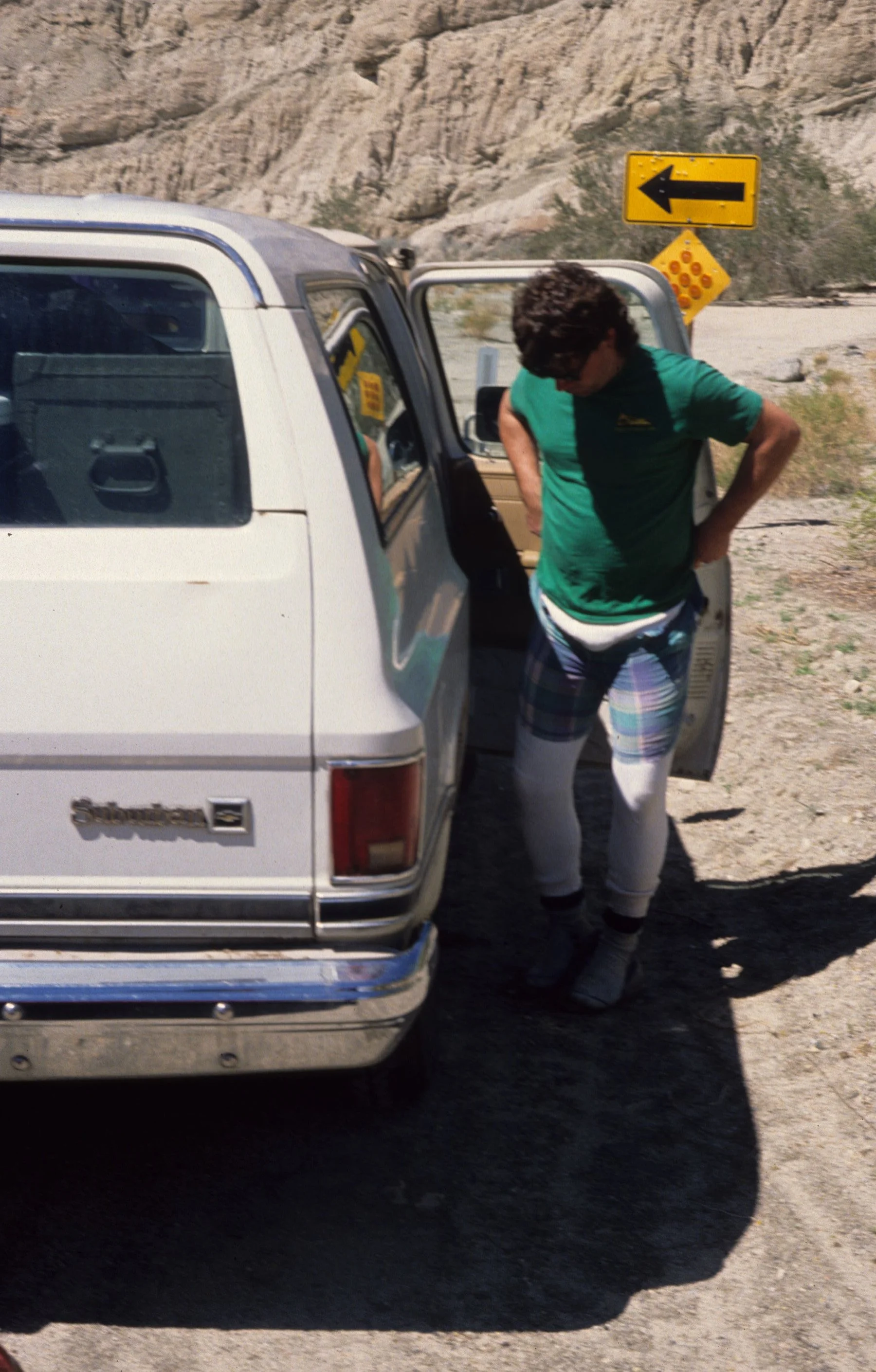 ANZA BORREGO - JOE MERZ.jpg