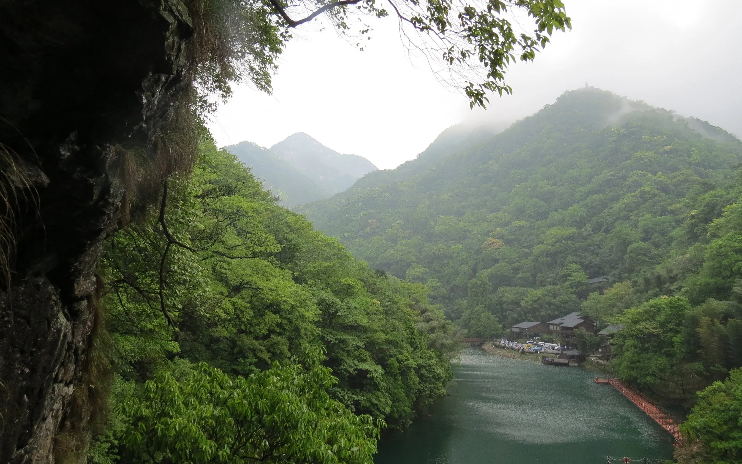 GUNIUJIANG NATURE RESERVE - ANHUI PROVINCE CHINA (50).JPG