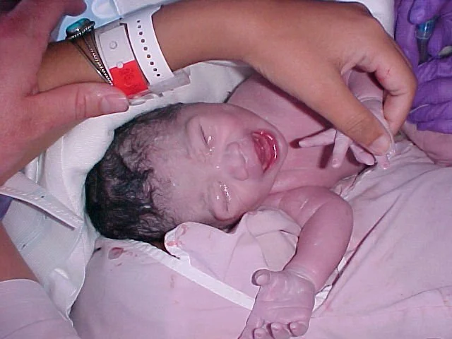 2002-8-16 COKIES DAY OF BIRTH - PORT ANGELES WASHINGTON (8).jpg