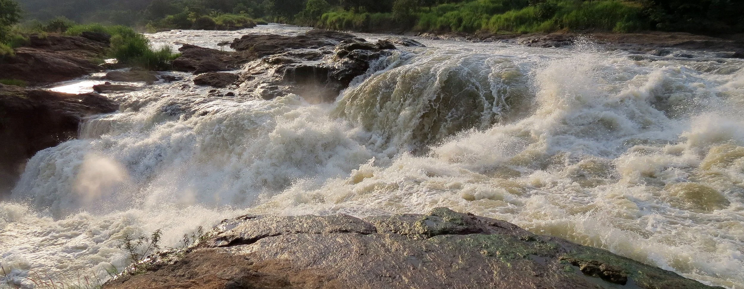 MURCHISON FALLS UGANDA (54).JPG