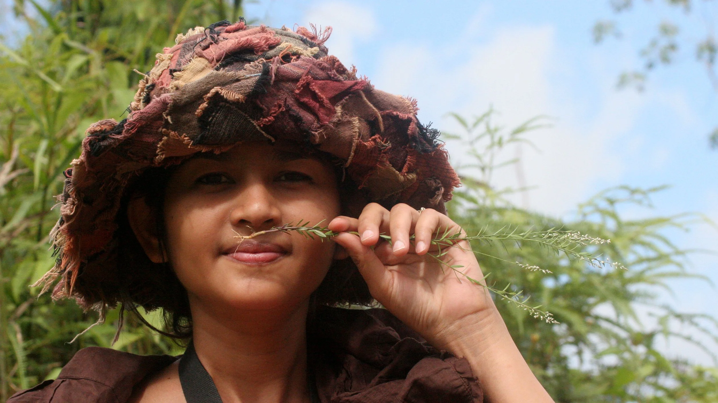 TABIN WILDLIFE RESERVE BORNEO - PLANT SPECIES SCENTED VARIETY.JPG