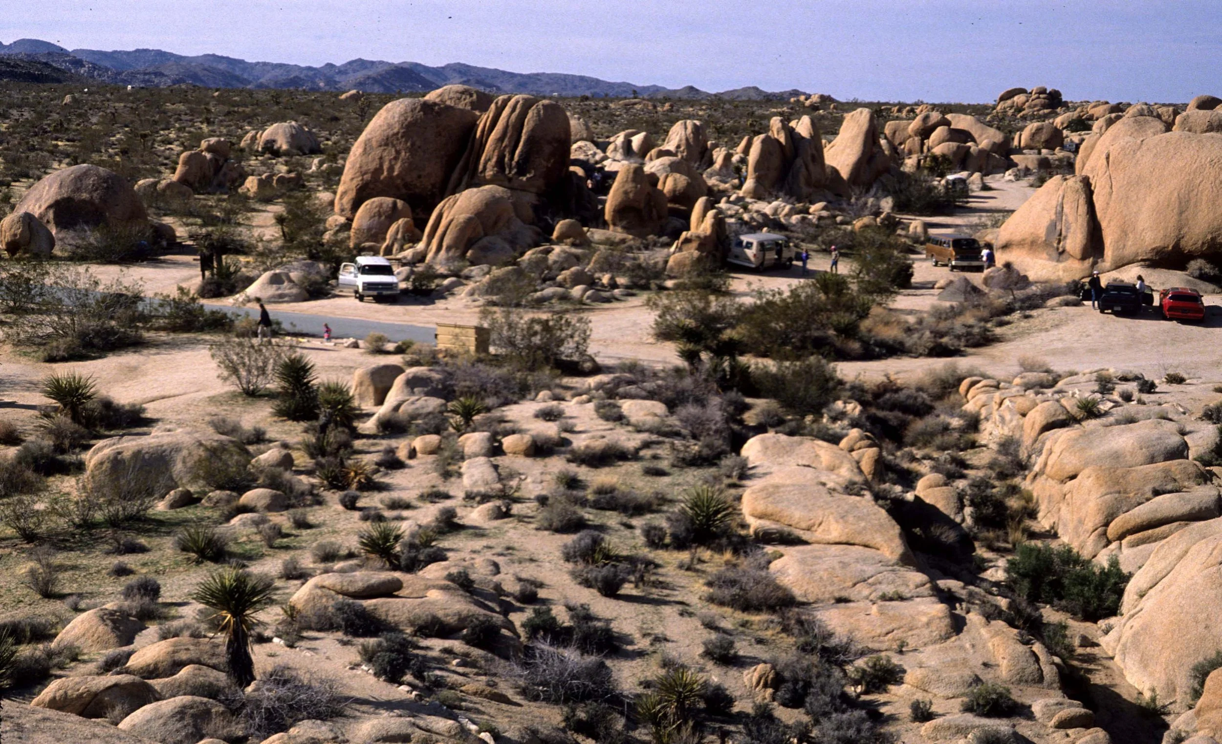 JOSHUA TREE - CAMPING.jpg
