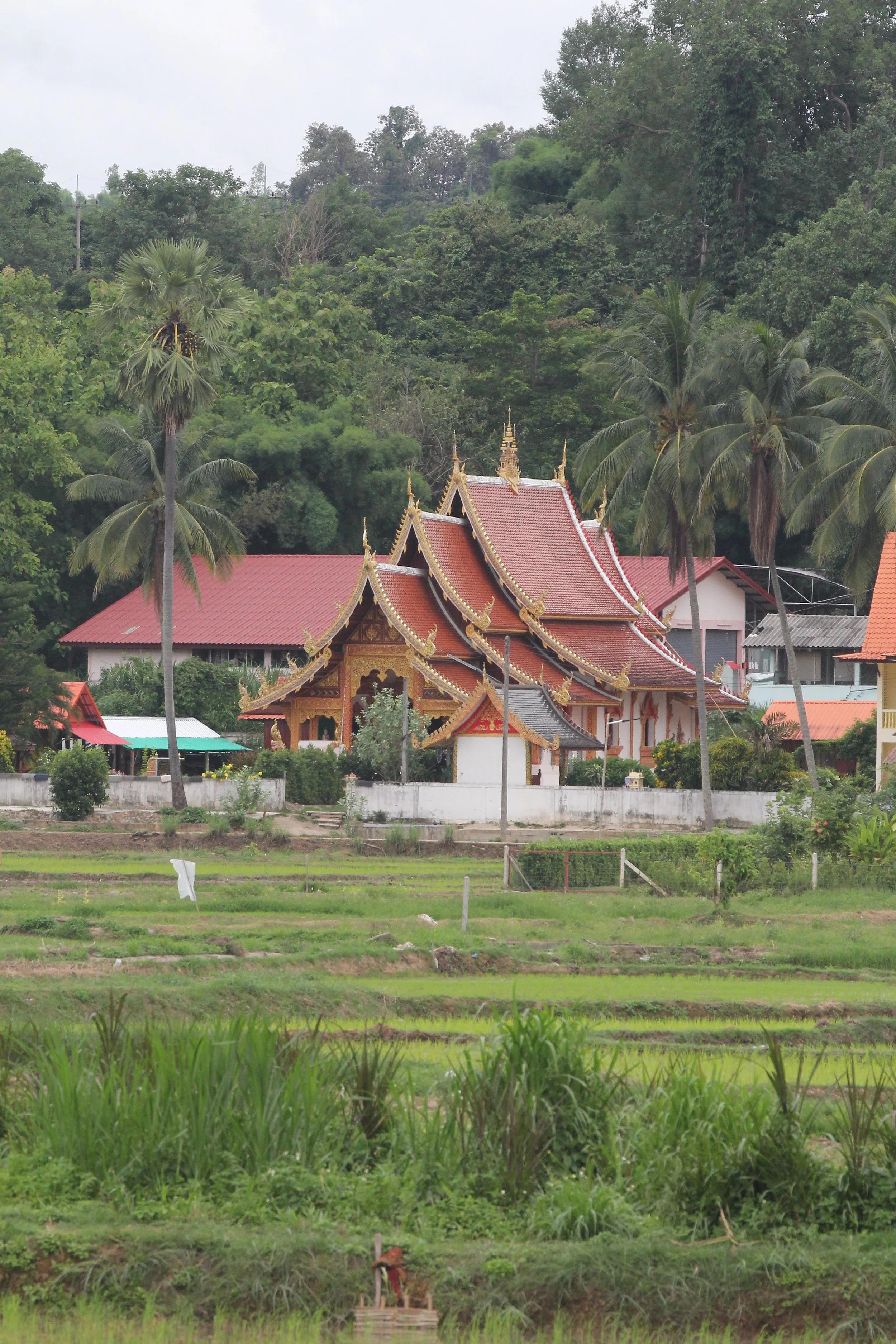 2020 4-5 July Wat Phrathat Beng Sakat North Thailand Tirp (31).JPG