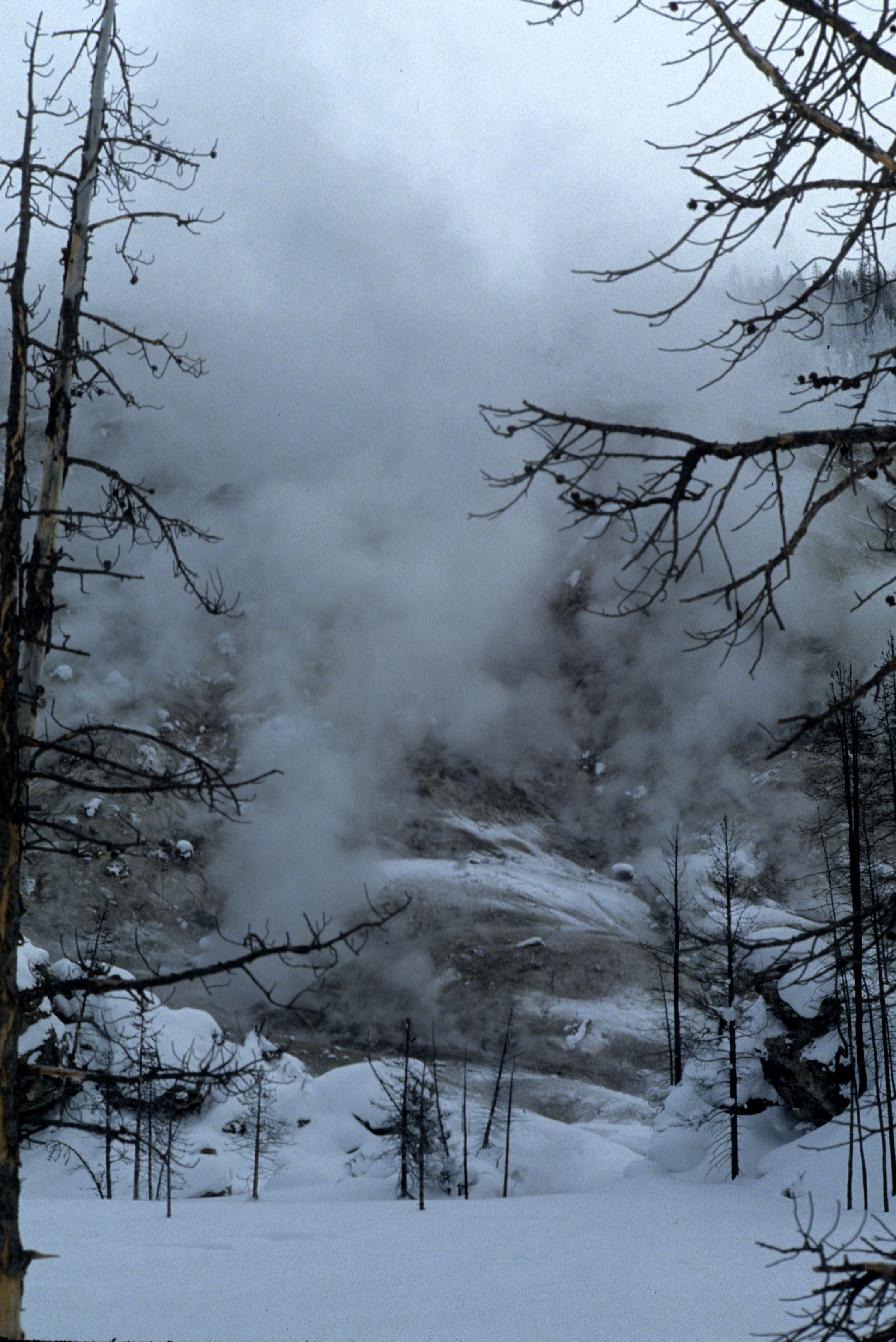YELLOWSTONE IN WINTER - SHEEP EATER MOUNTAIN.jpg