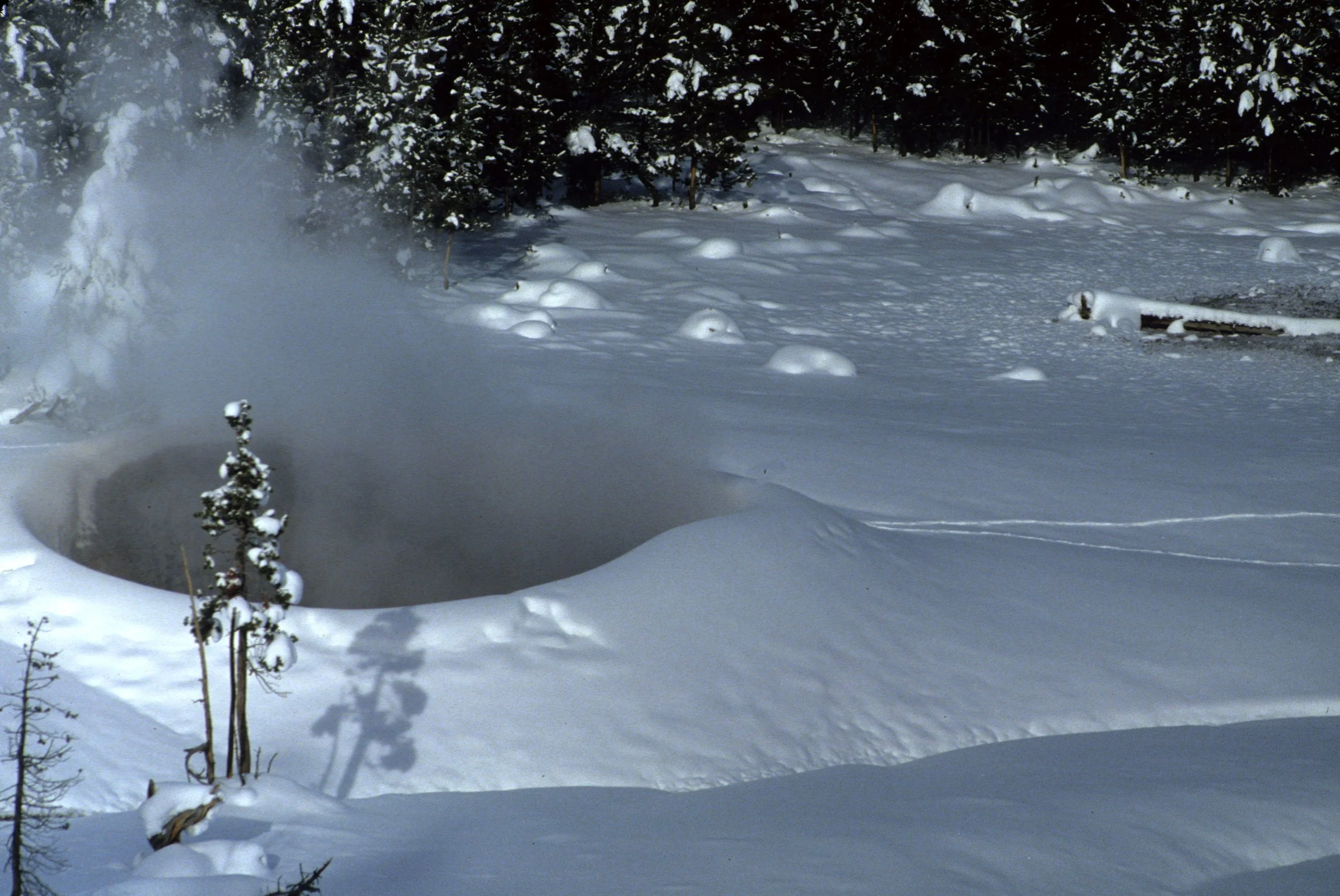 YELLOWSTONE IN WINTER - FUMEROLES B.jpg