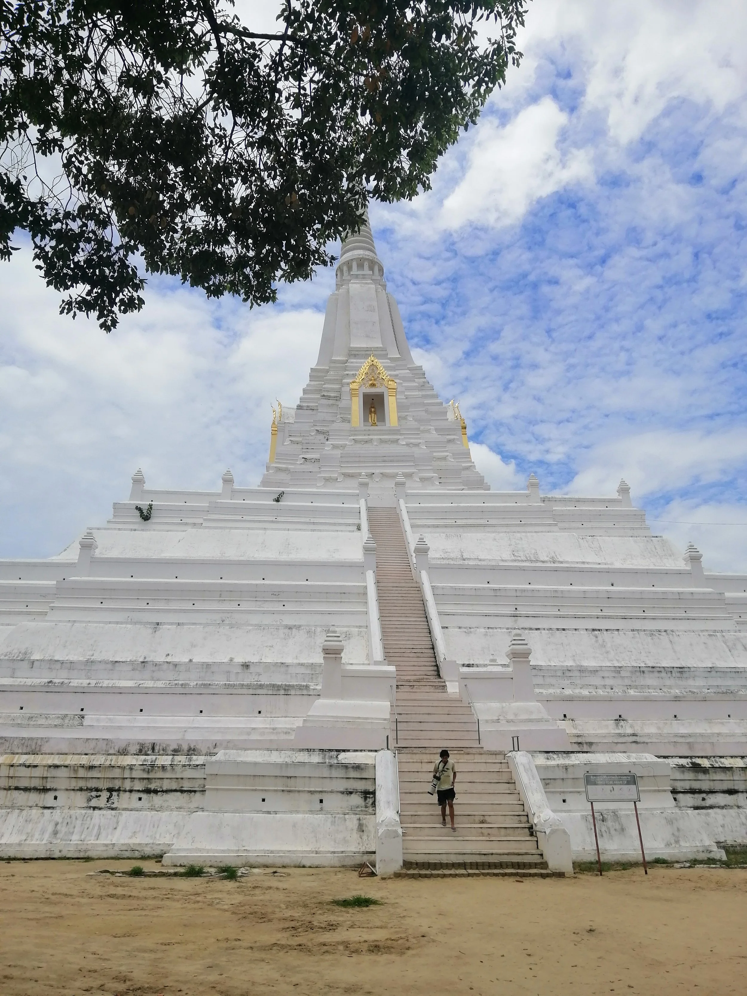 2019 Ayutthaya Wat Phukhao Thong Summer Road Trip (6).jpg