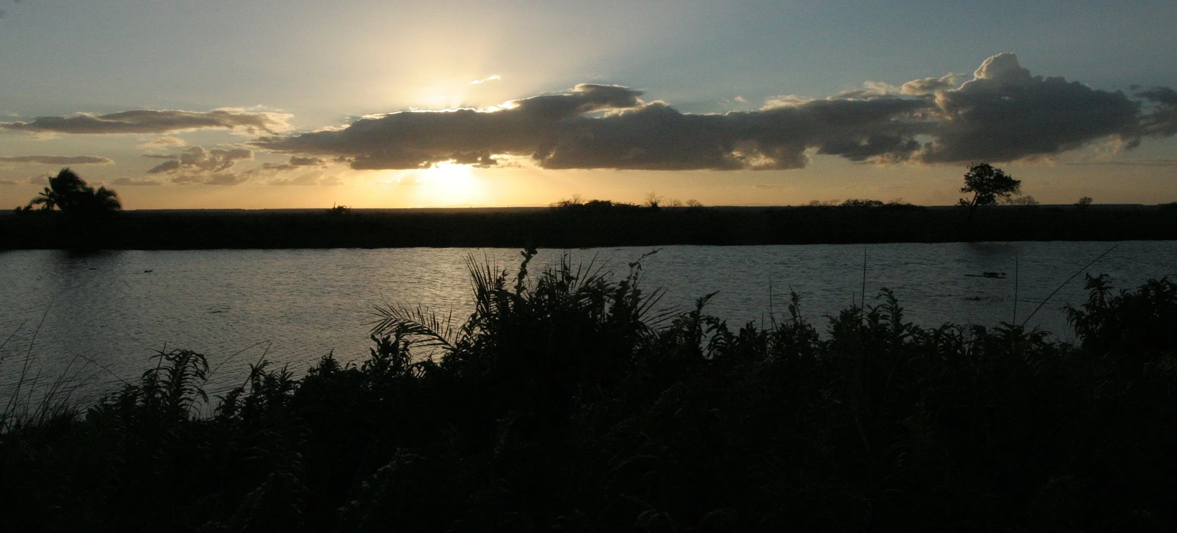 SAINT LUCIA NATURE RESERVE SOUTH AFRICA.JPG