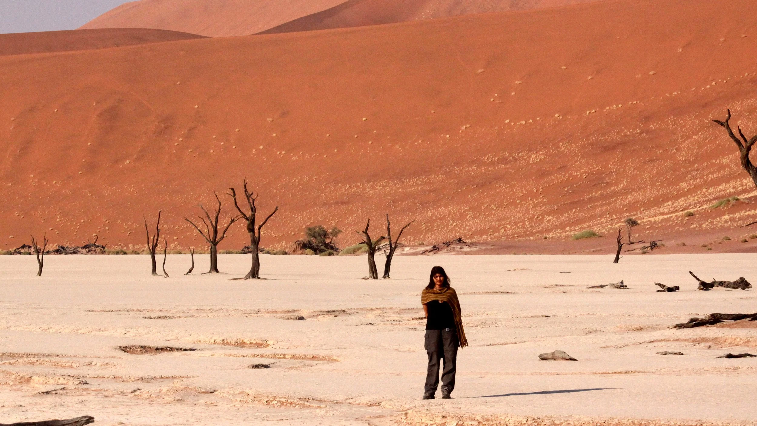 SOSSUSVLEI, NAMIB NAUKLUFT NATIONAL PARK, NAMIBIA - DEAD VLEI (69).JPG