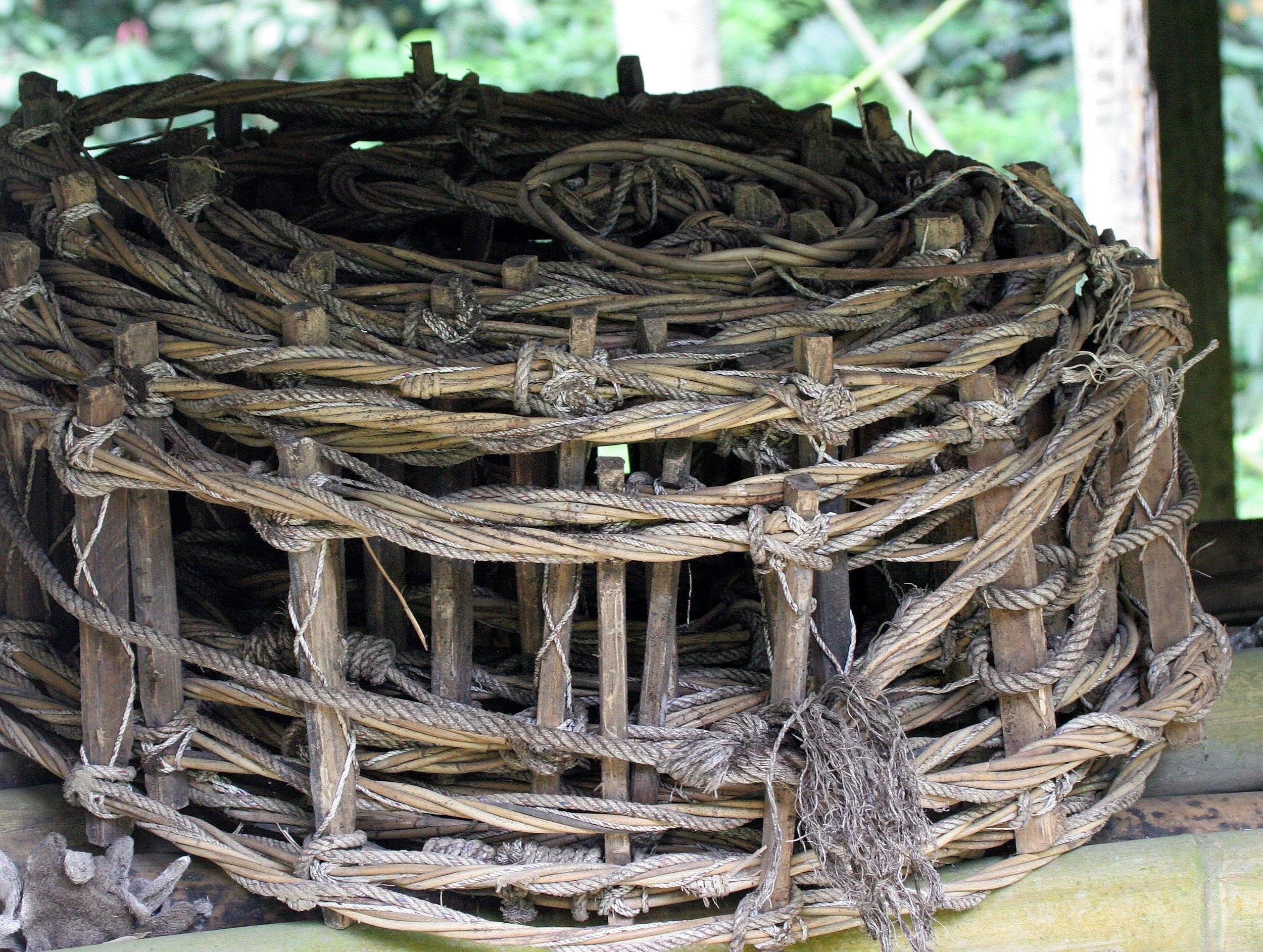 GAMONTONG CAVES BORNEO - BIRDS NEST LADDERS.JPG