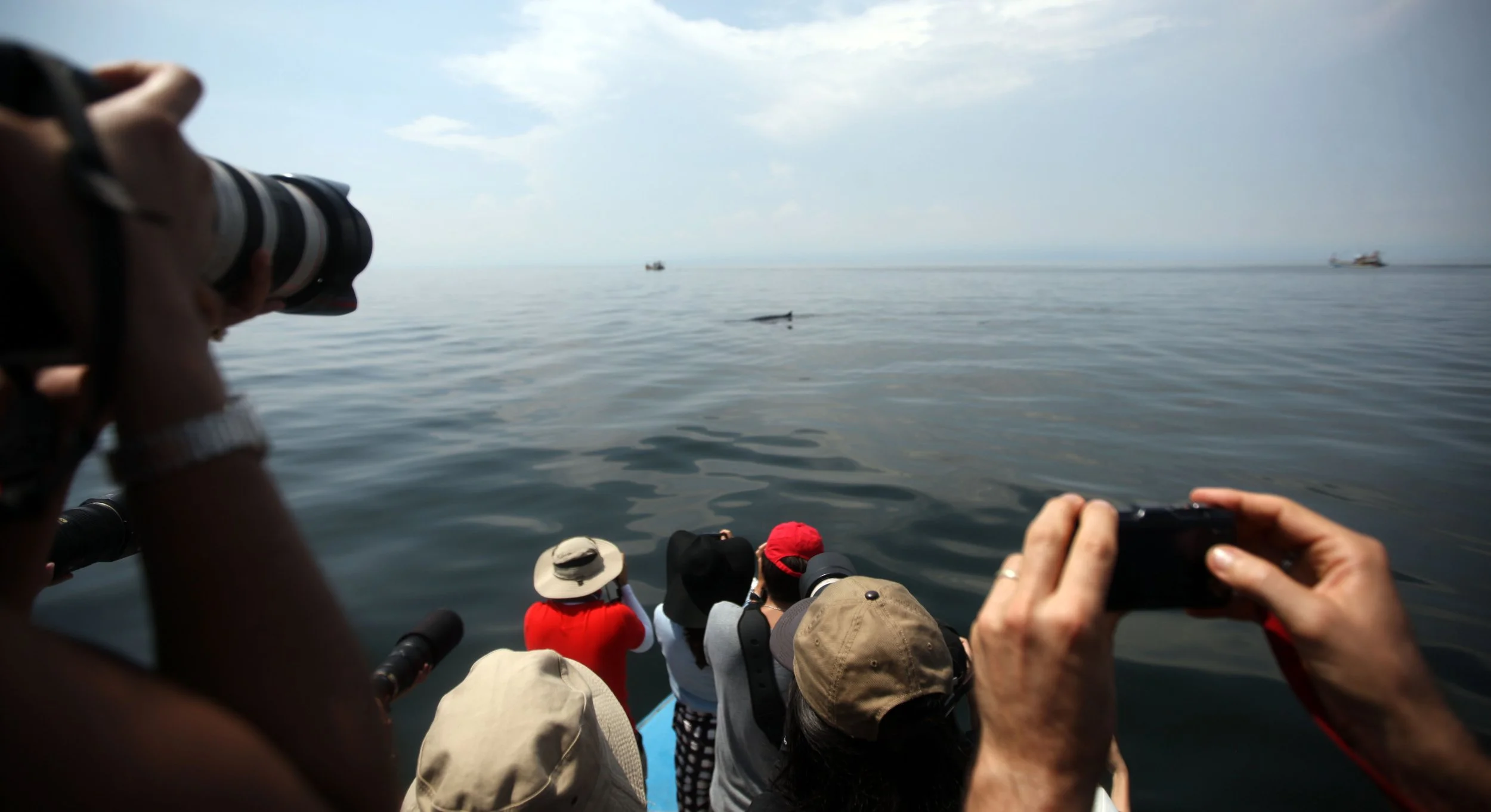 2014 Amphawa Trip to See Whales from Baan Taboon (46).JPG