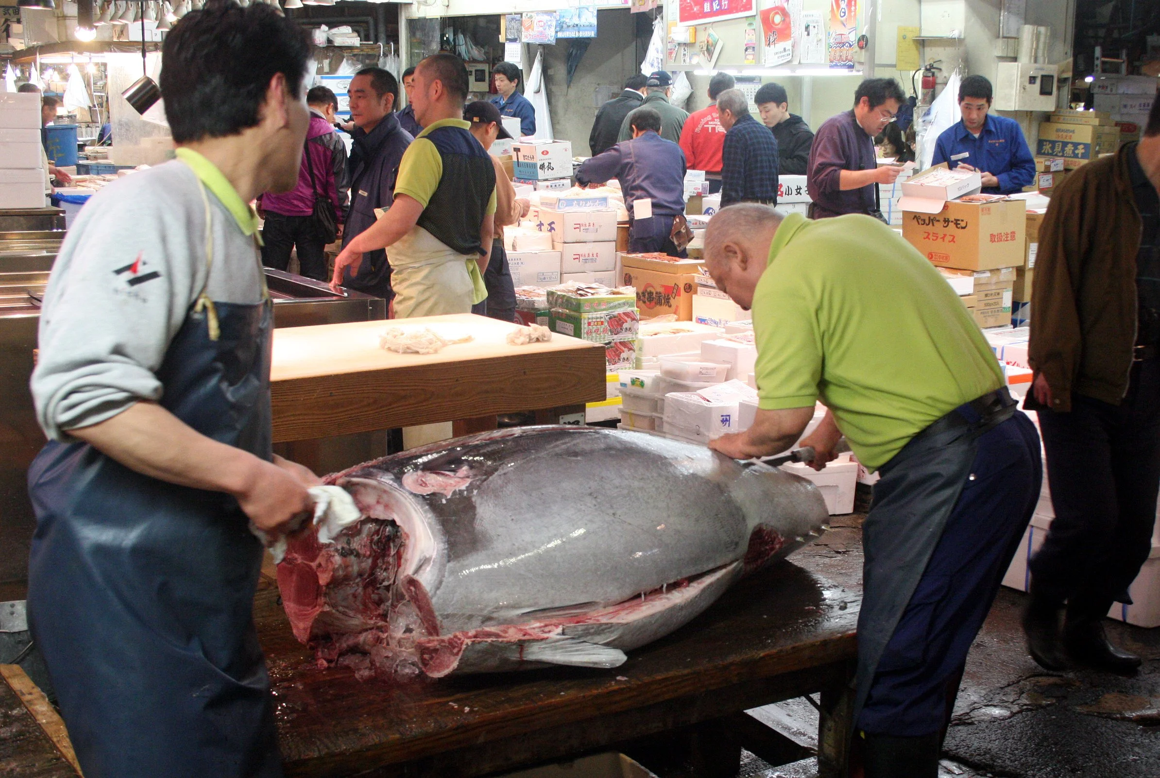 TOKYO - MAY 2009 - TSUKIJI MARKET (32).JPG