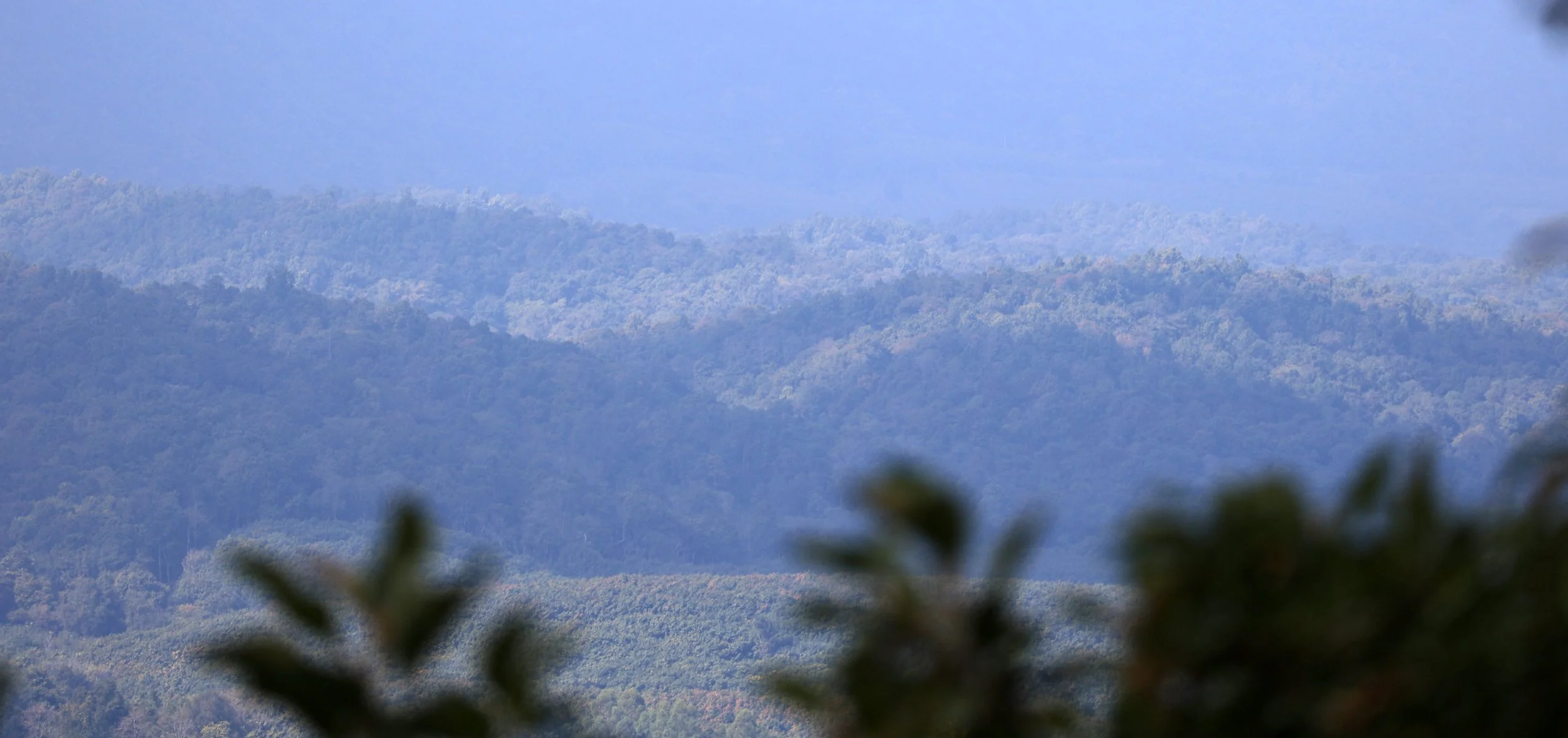 Doi Butsarakham Phayao Province (11).jpg