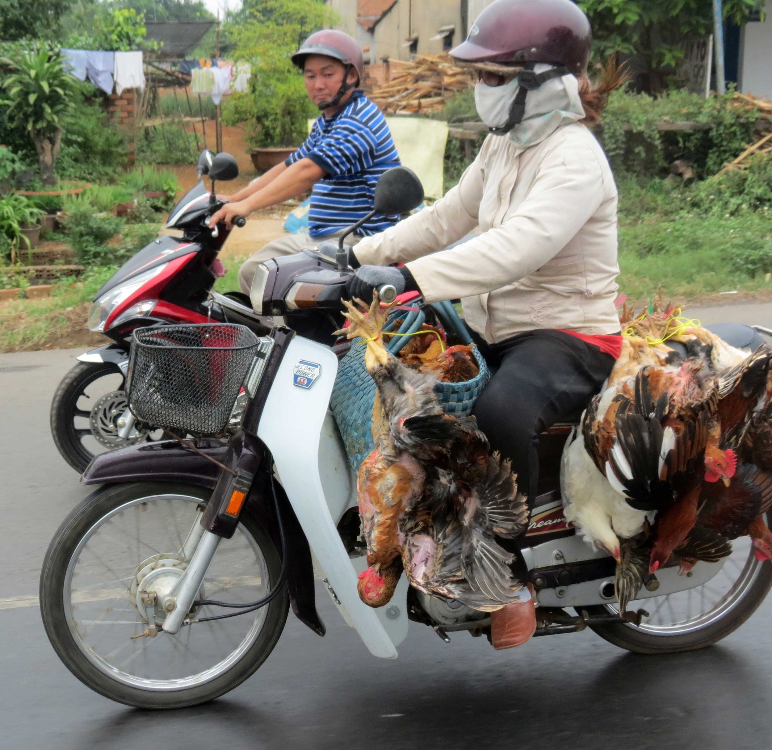 SAIGON VIET NAM (46).JPG