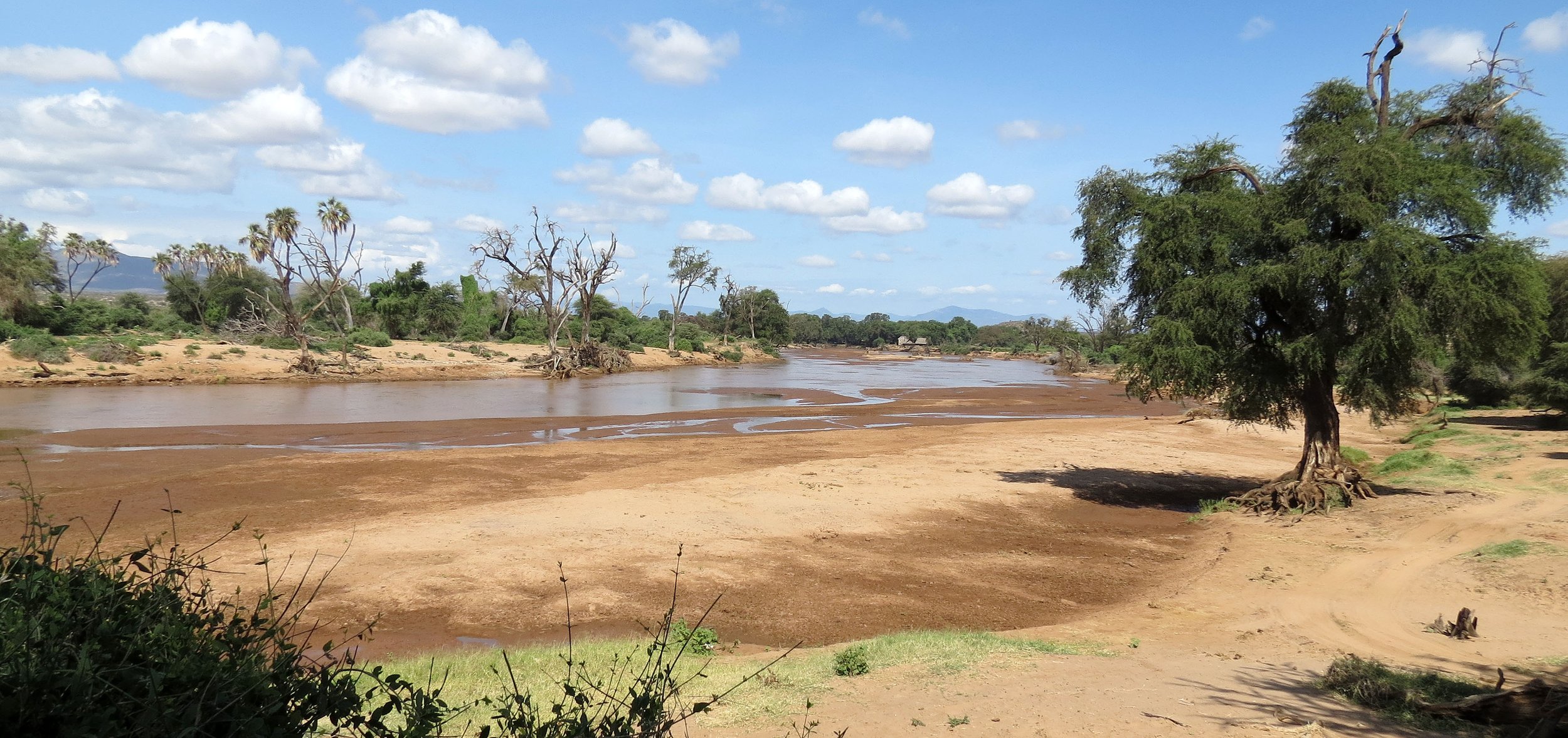 SAMBURU NATIONAL PARK KENYA (20).JPG