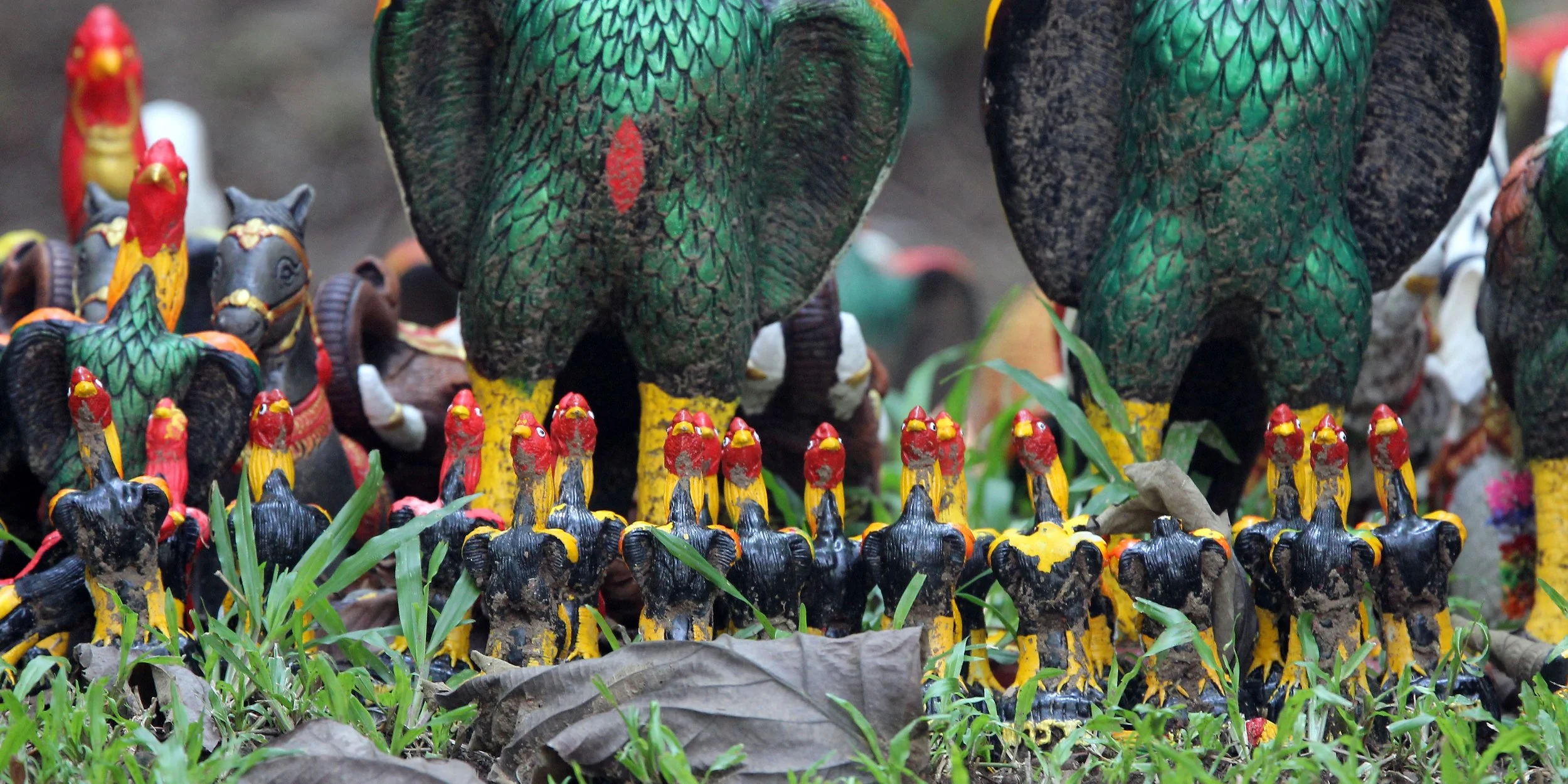 2015 KHAO YAI NATIONAL PARK THAILAND - GARDEN LIZARD SPECIES (372).JPG