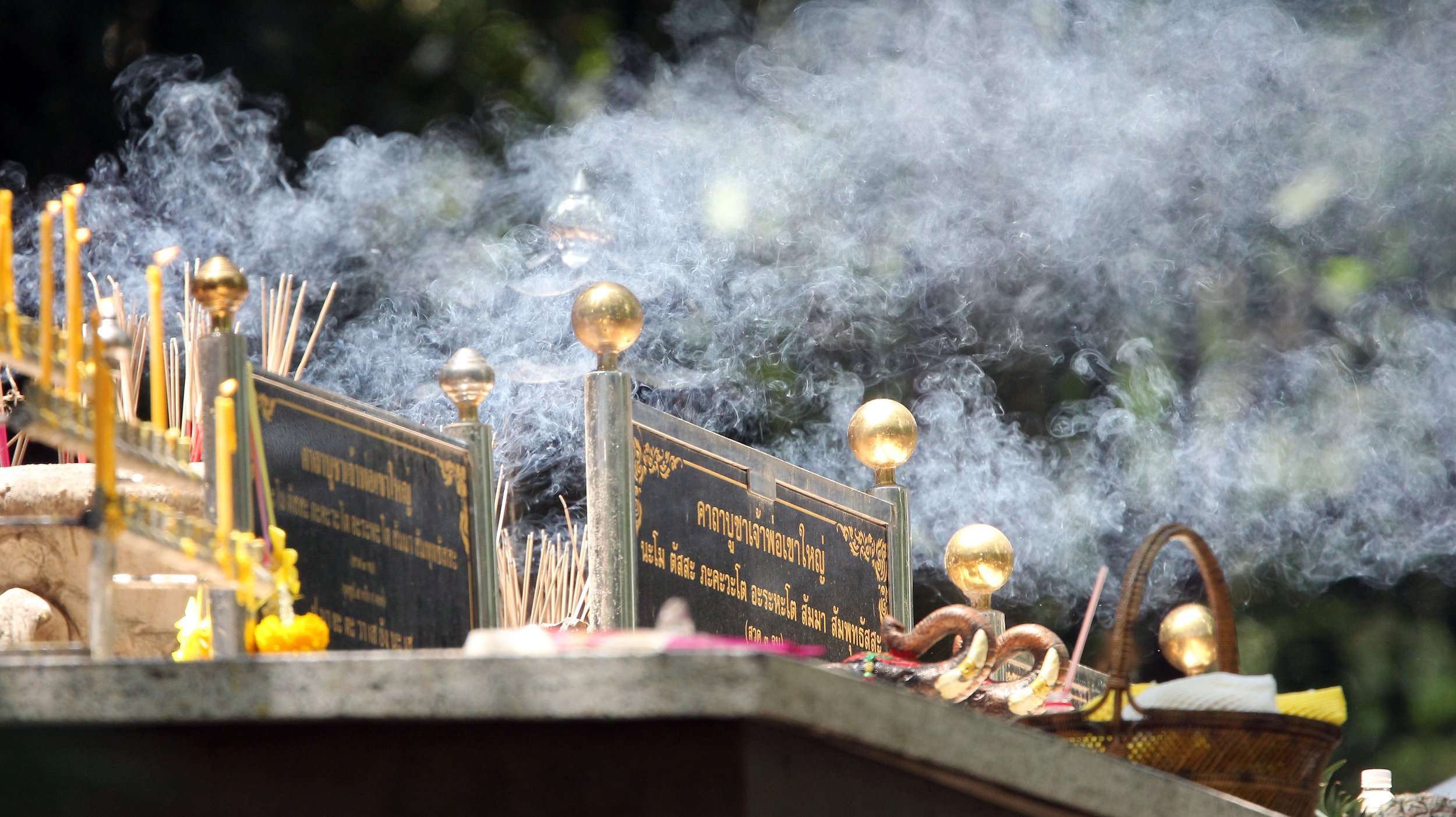 2015 KHAO YAI NATIONAL PARK THAILAND - GARDEN LIZARD SPECIES (362).JPG