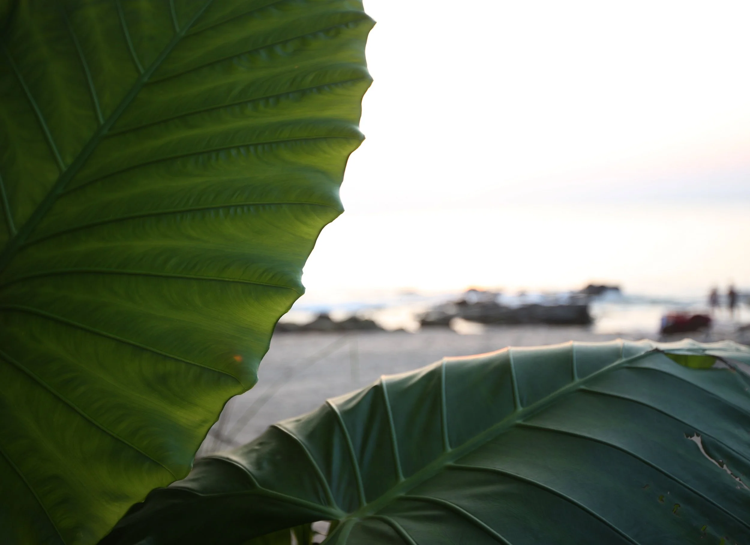 2015 Koh Lanta Build and Fun (118).JPG