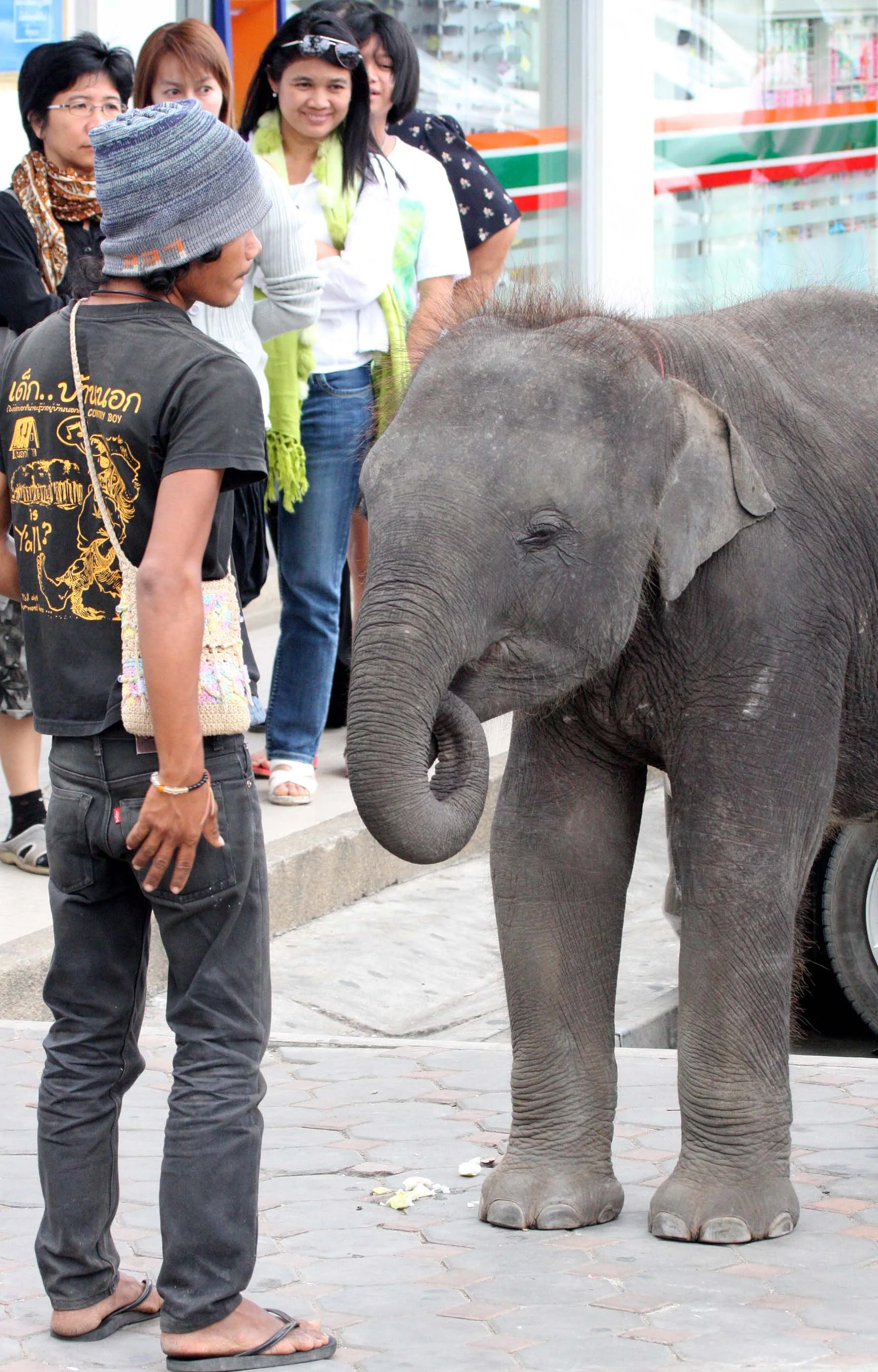 2008 - 2009 Nakhonsithammarat Christmas in Thailand Trip (6).JPG