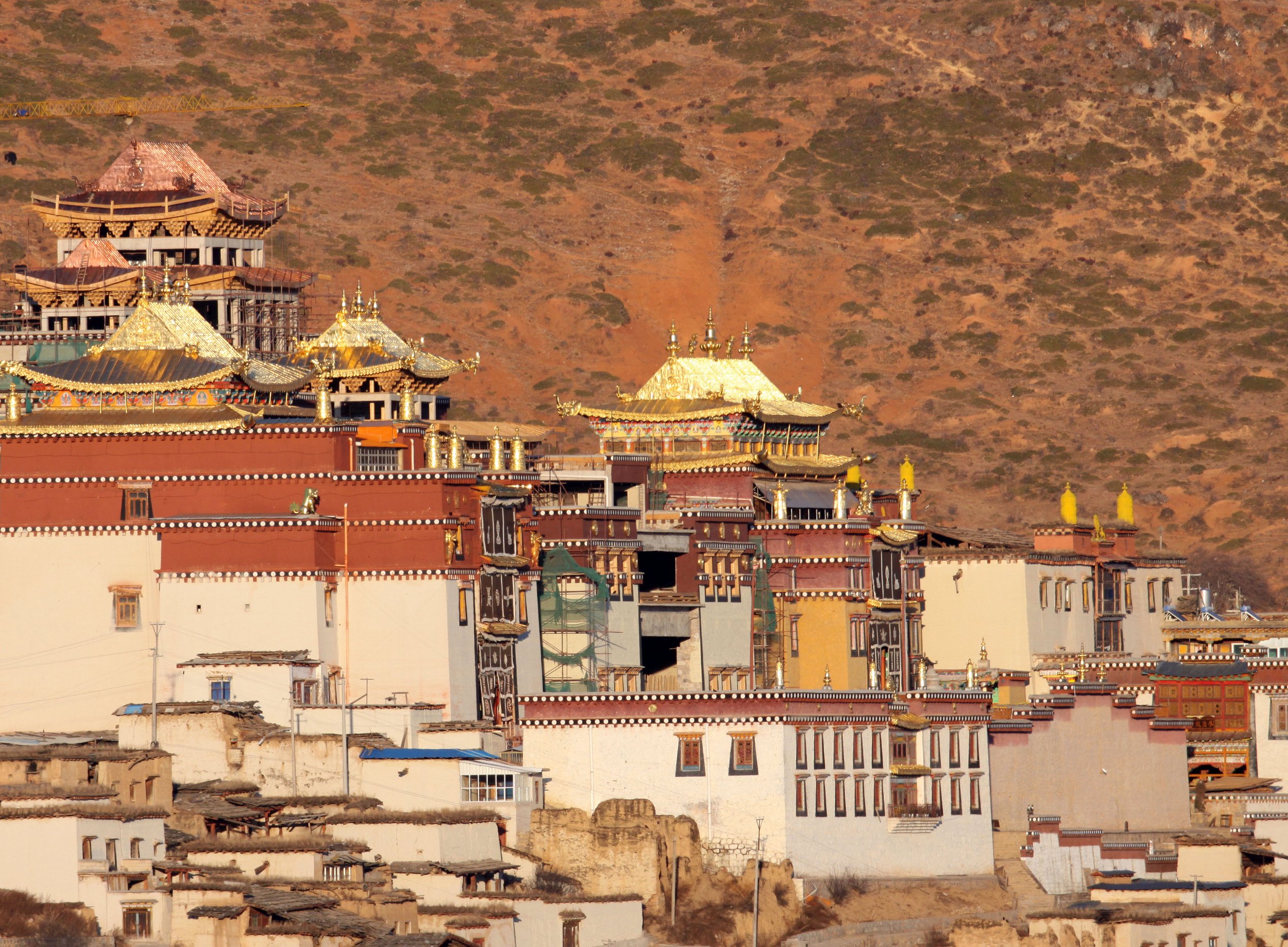 YUNNAN - SHANGRILA - SONGZHANLIN TEMPLE - CHINA (2).JPG