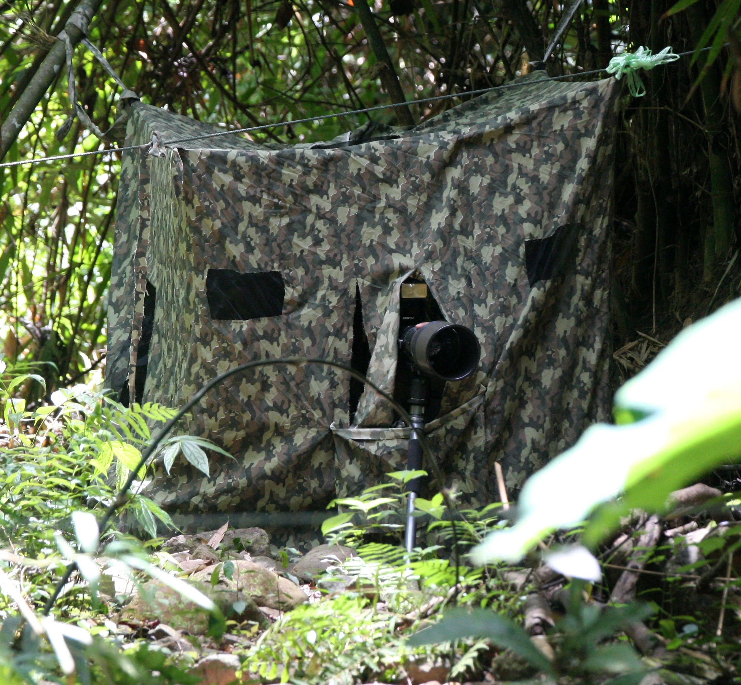 2008 Kaeng Krachan NP Trip with Cokie & Som (66).JPG