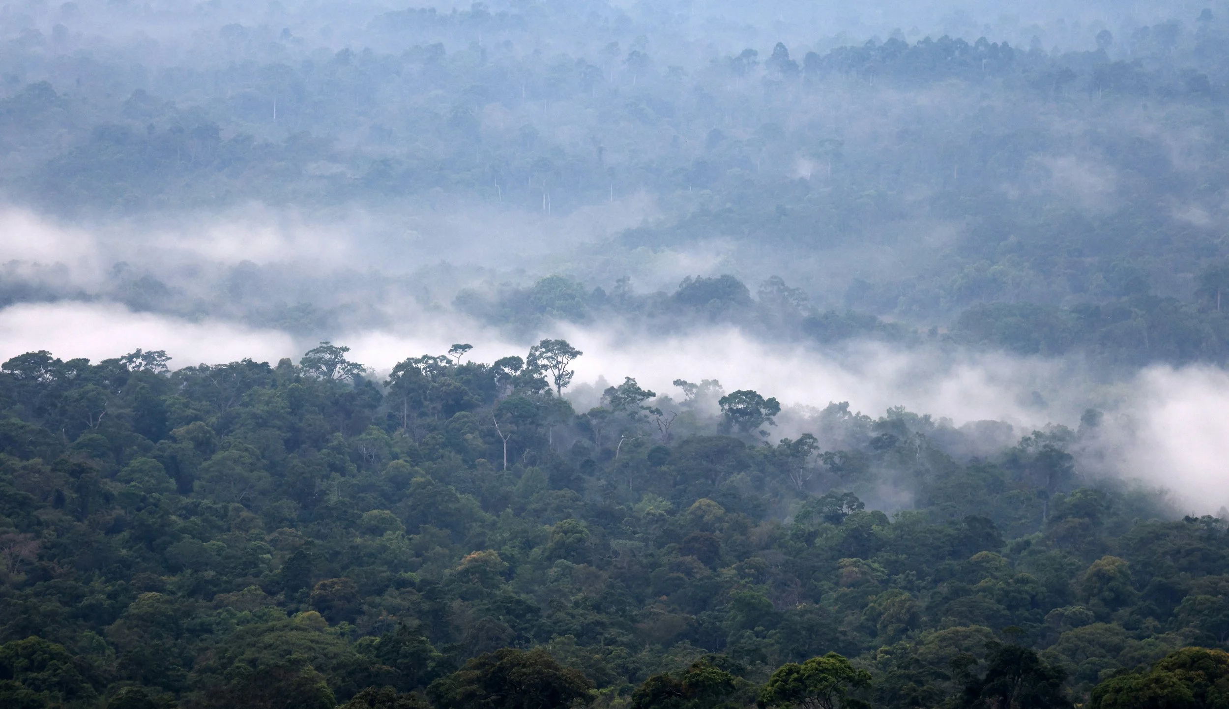 Khao Yai National Park Feb 2026 Day 2 (381).jpg