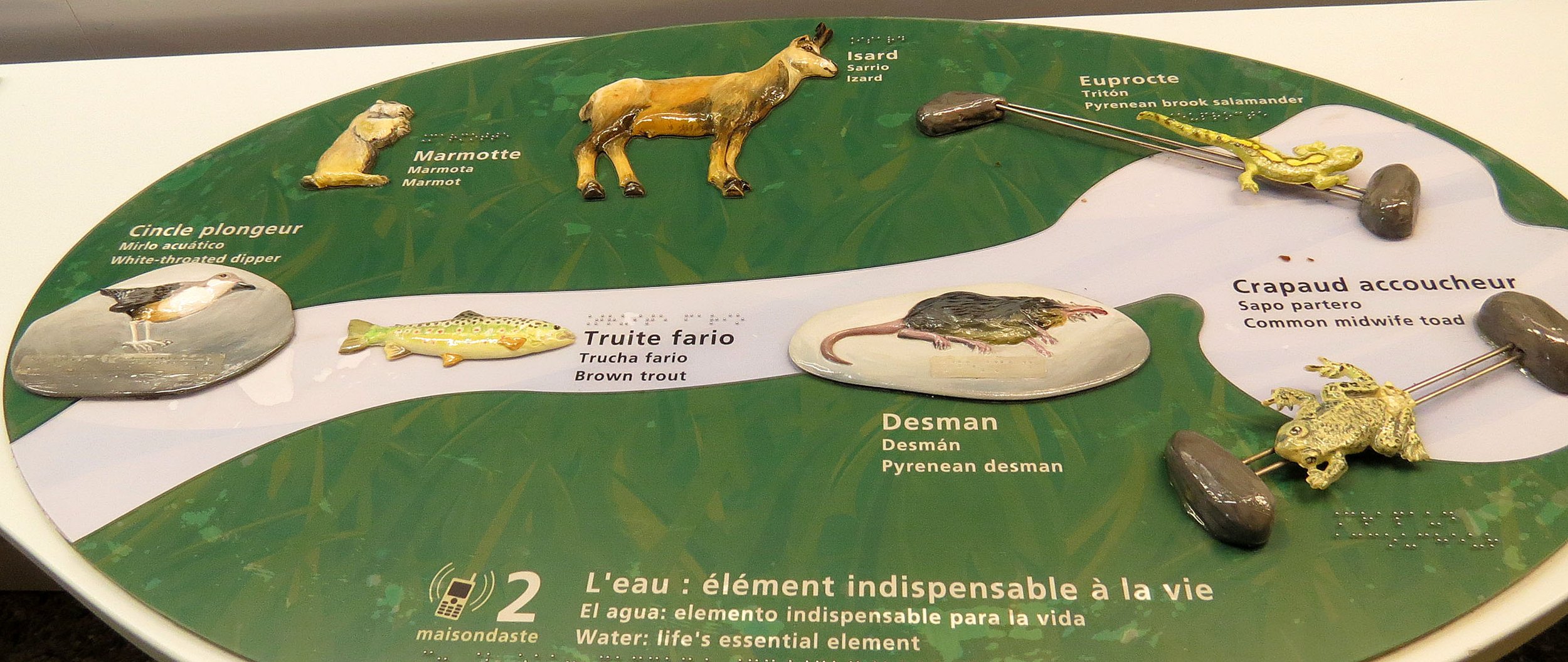 ARRENS - MARSOUS - PYRENEES NATIONAL PARK FRANCE (52).JPG