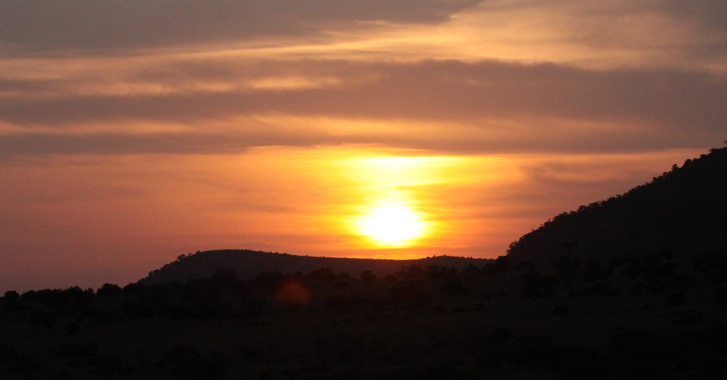 MASAI MARA NATIONAL PARK KENYA (221).JPG