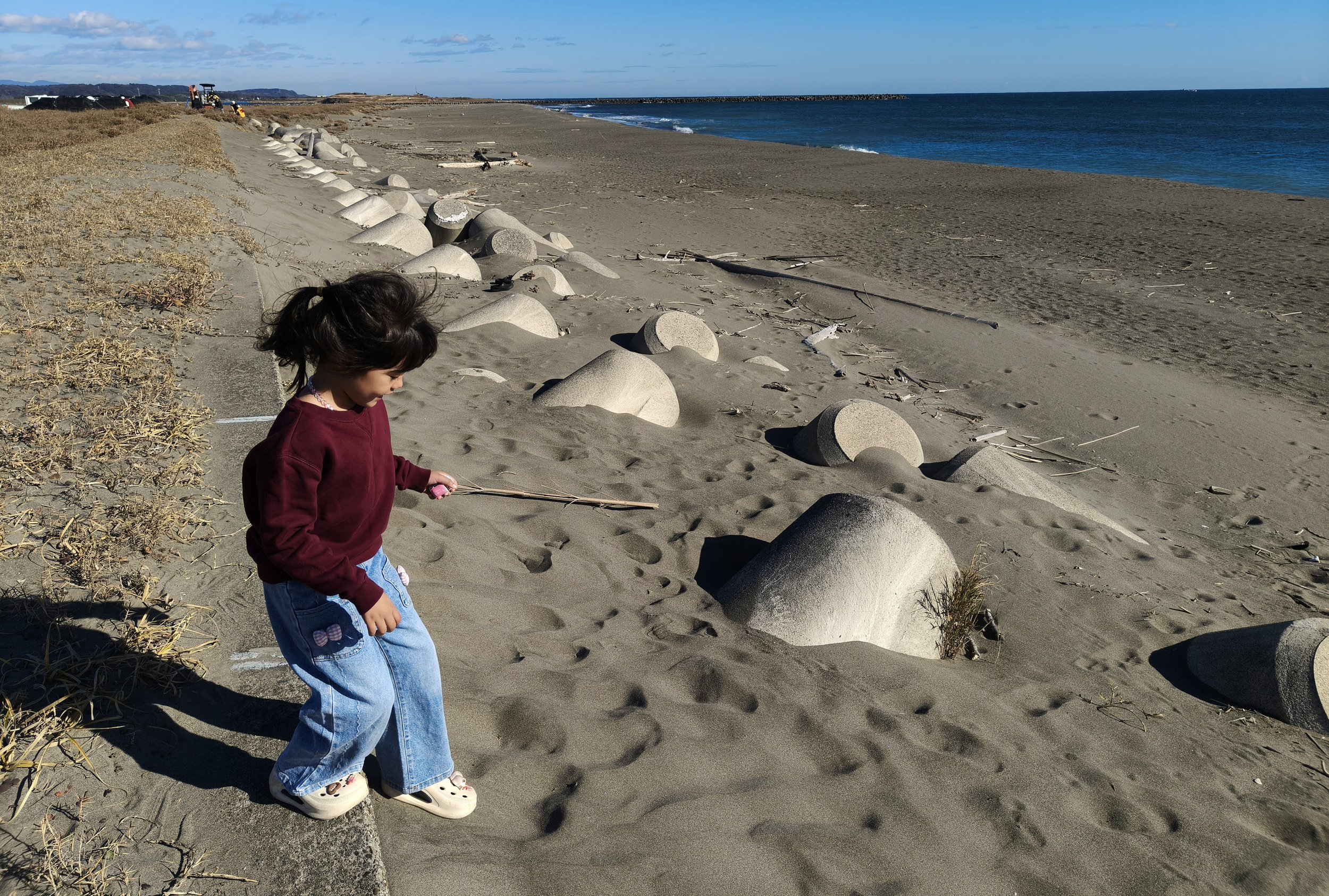 Shimotonda Sadowaracho Birding Ponds Miyazaki Kyushu Japan (136).jpg