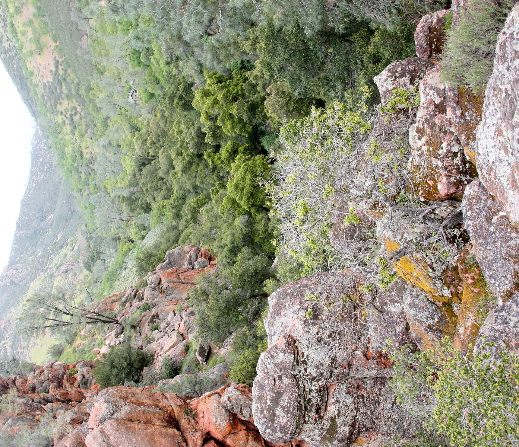 PINNACLES NATIONAL MONUMENT CALIFORNIA - VIEWS OF THE REGION (2).JPG