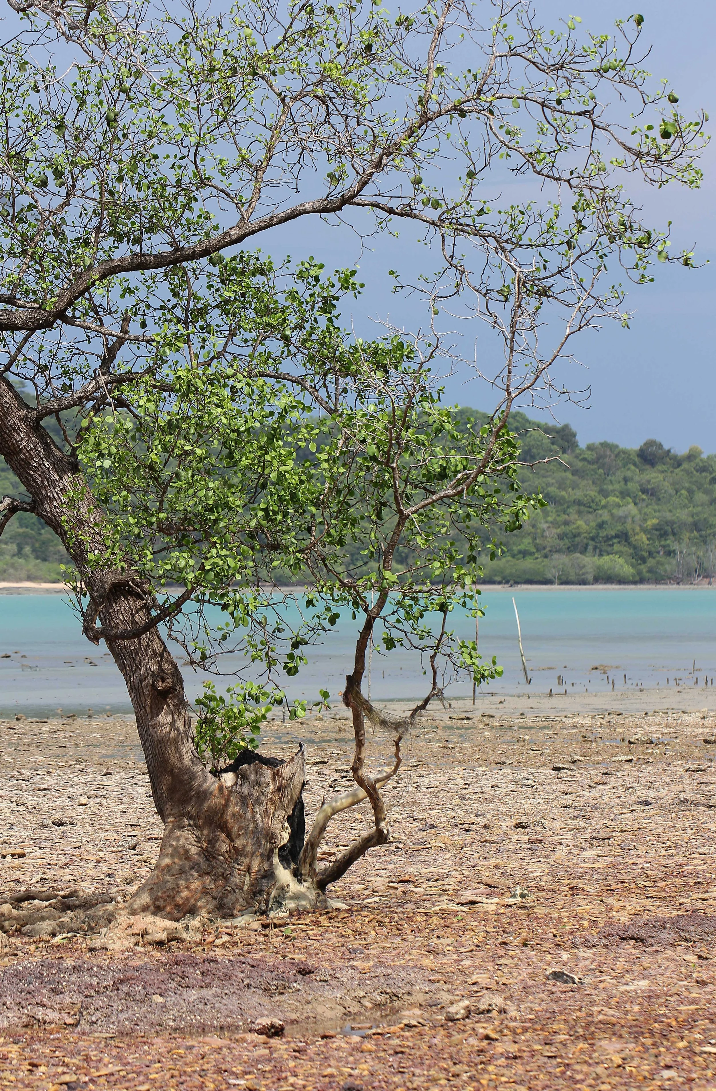 2015 Koh Lanta Songkran with friends from ISB (354).JPG