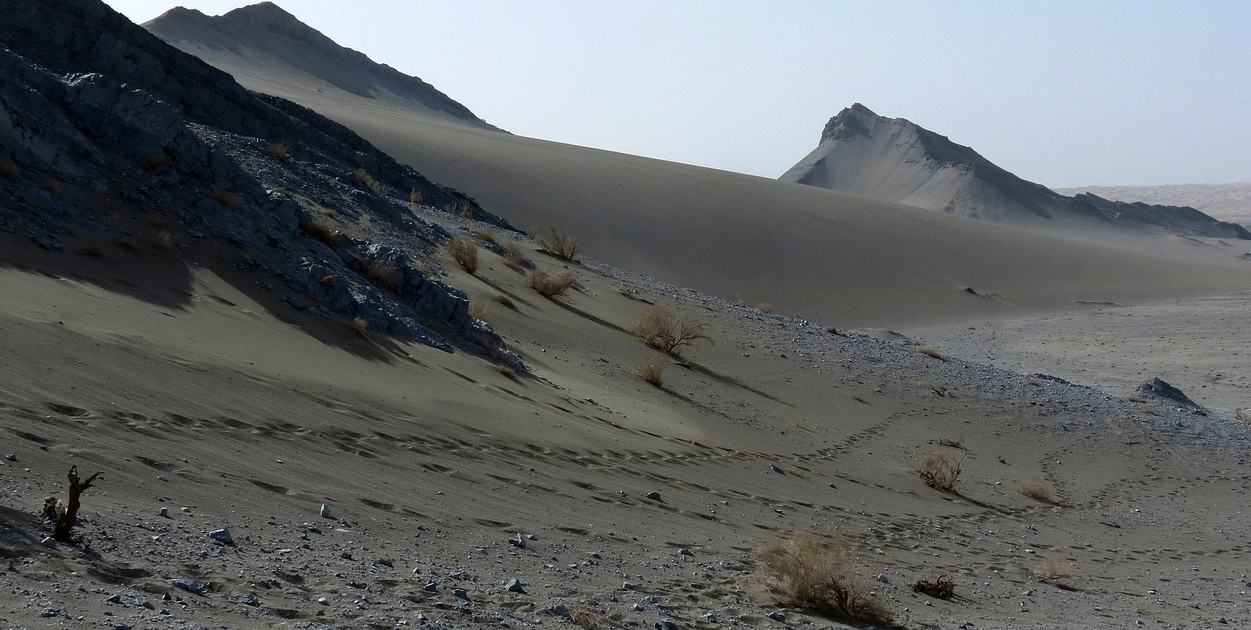 LOP NUR WILD BACTRIAN CAMEL RESERVE - XINJIANG CHINA (39).JPG