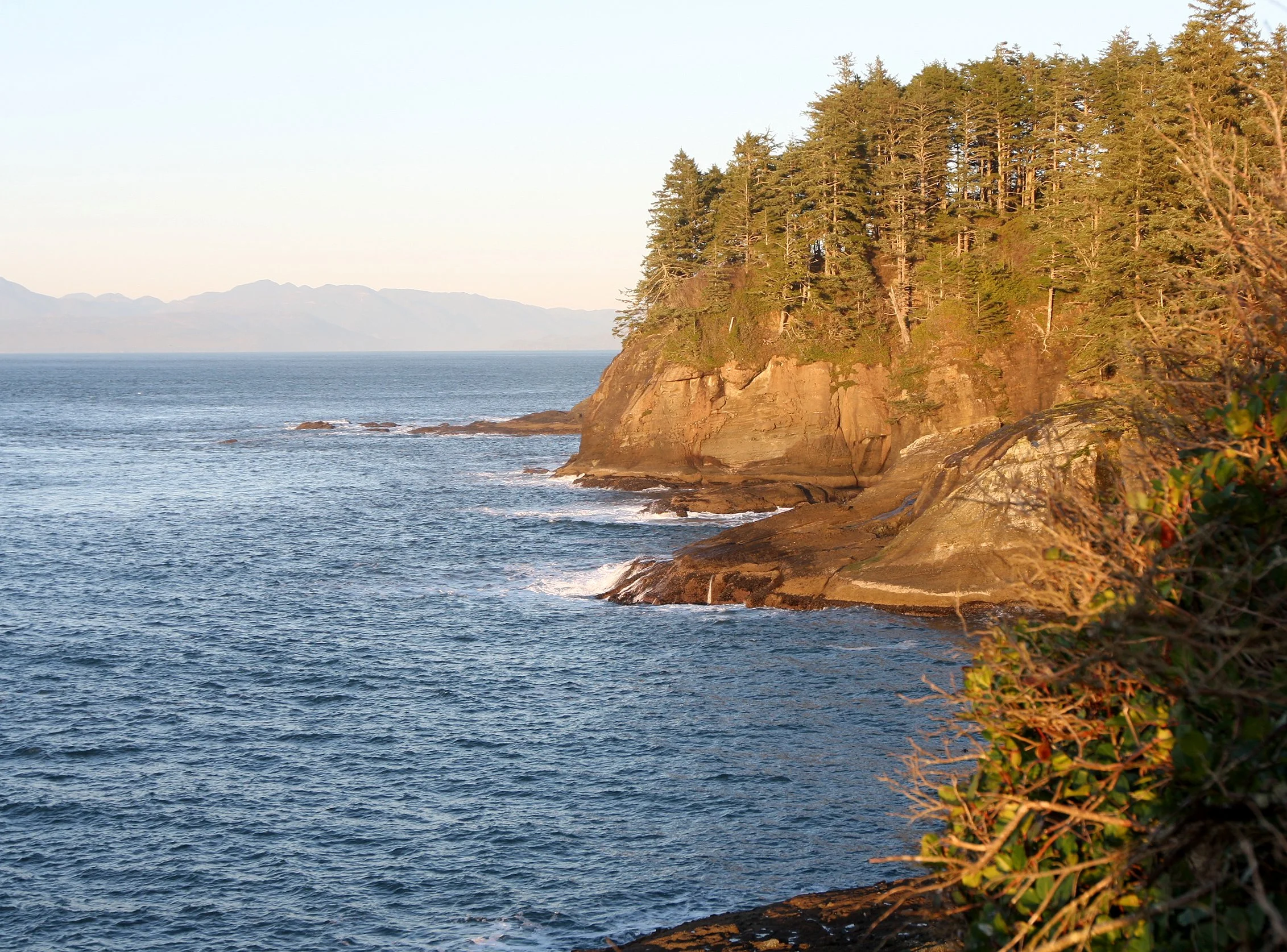 CAPE FLATTERY OLYMPIC PENINSULA - 2010-2-20 (18).JPG