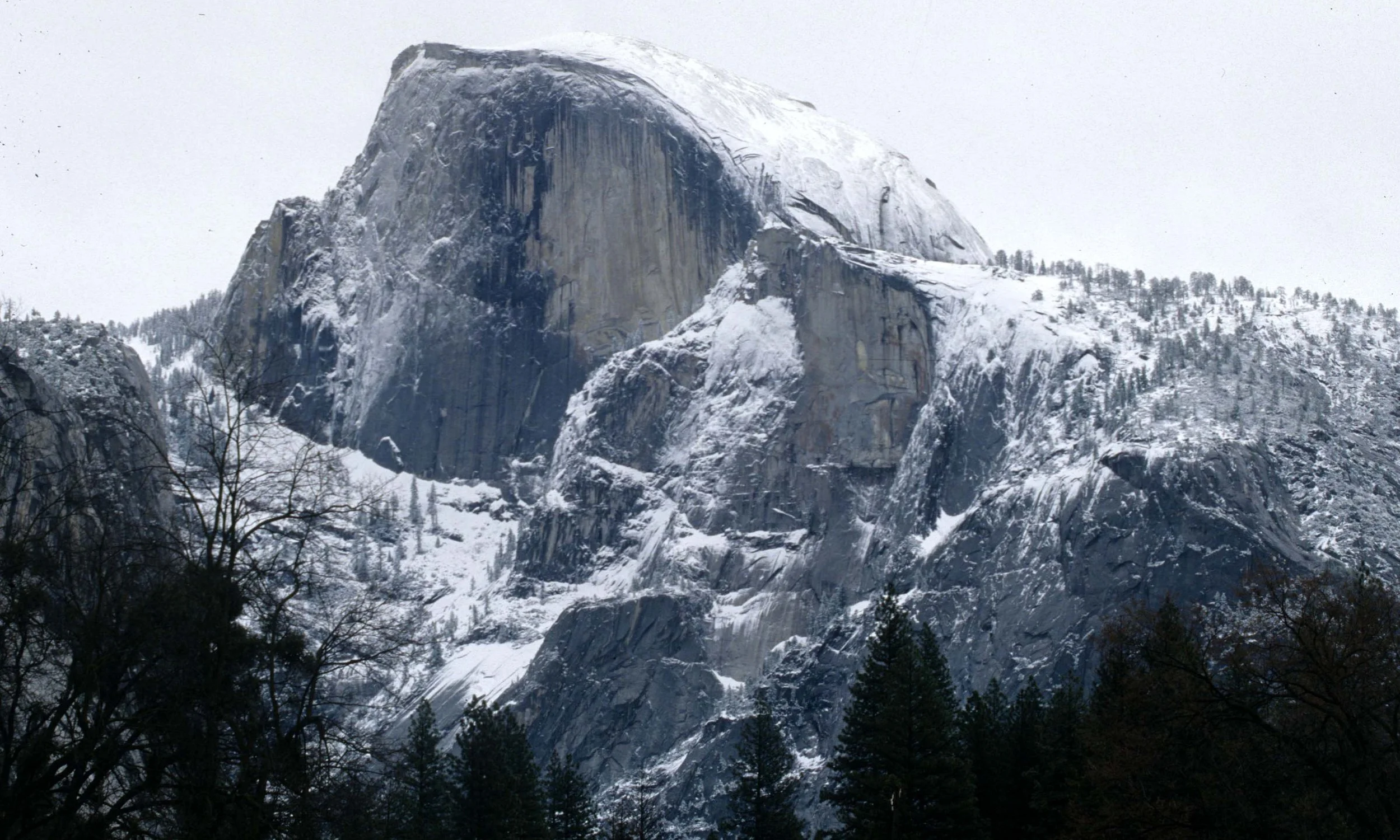 CALIFORNIA - YOSEMITE NP  (4).jpg