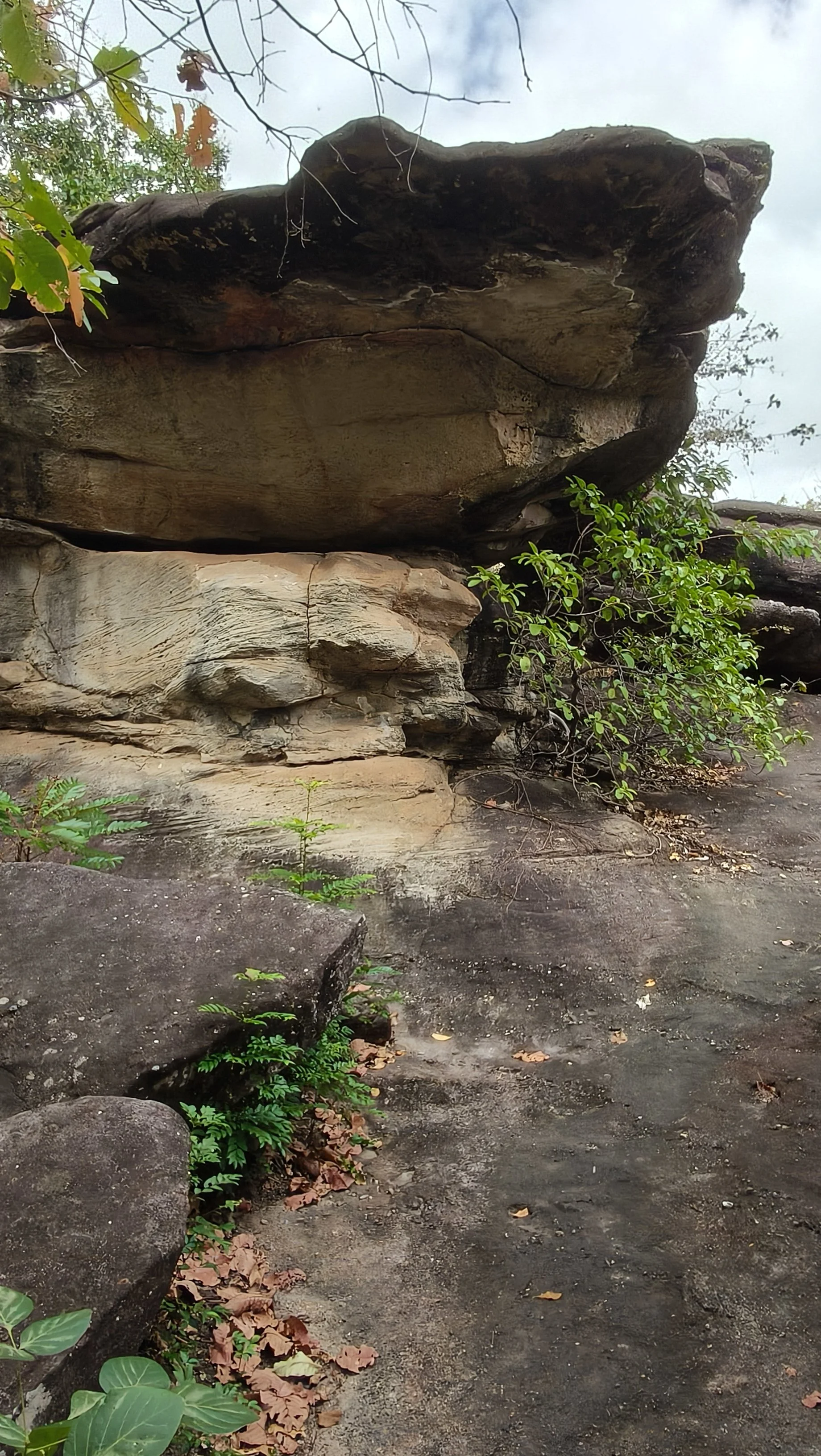  Phu Pha Thoep National Park - Mukdahan Thailand (4).jpg