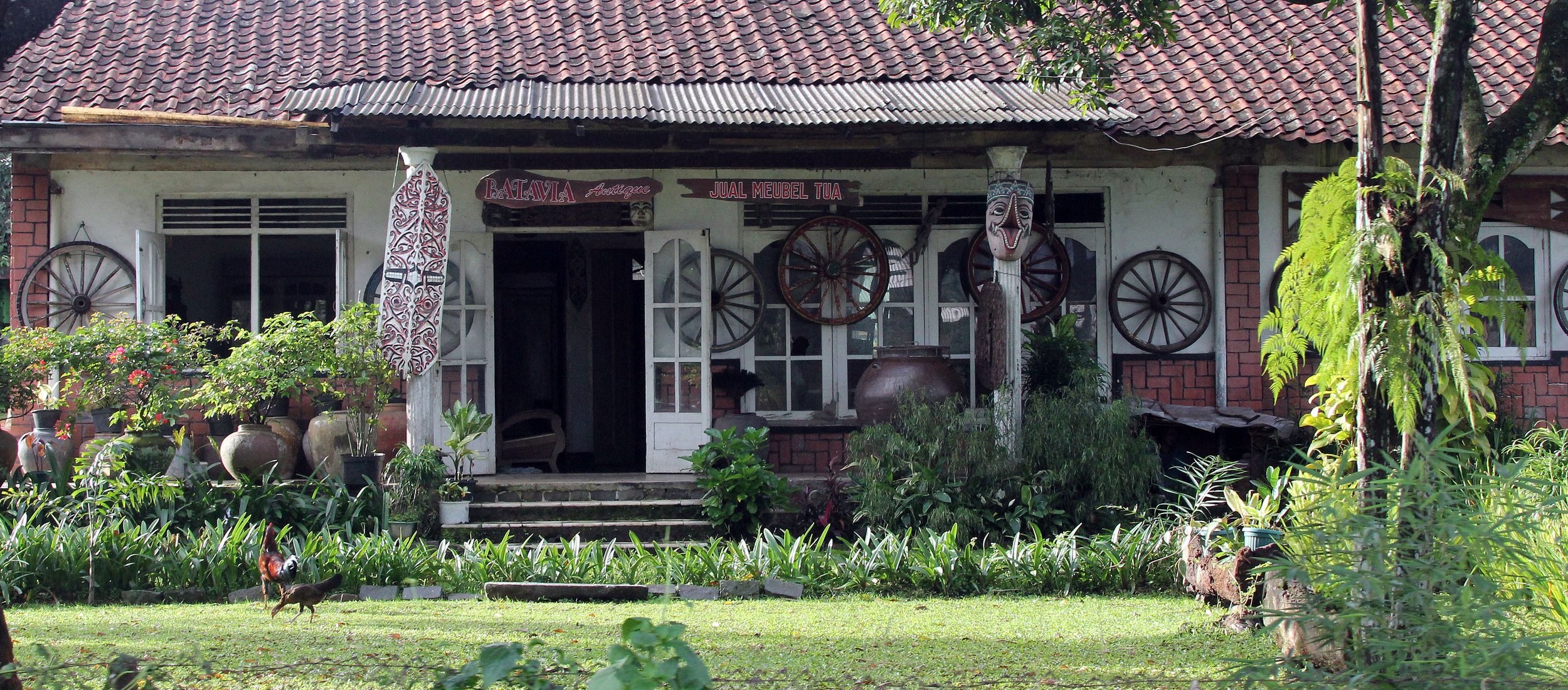 BOGOR - GEDE NATIONAL PARK - JAVA BARA, INDONESIA (18).JPG