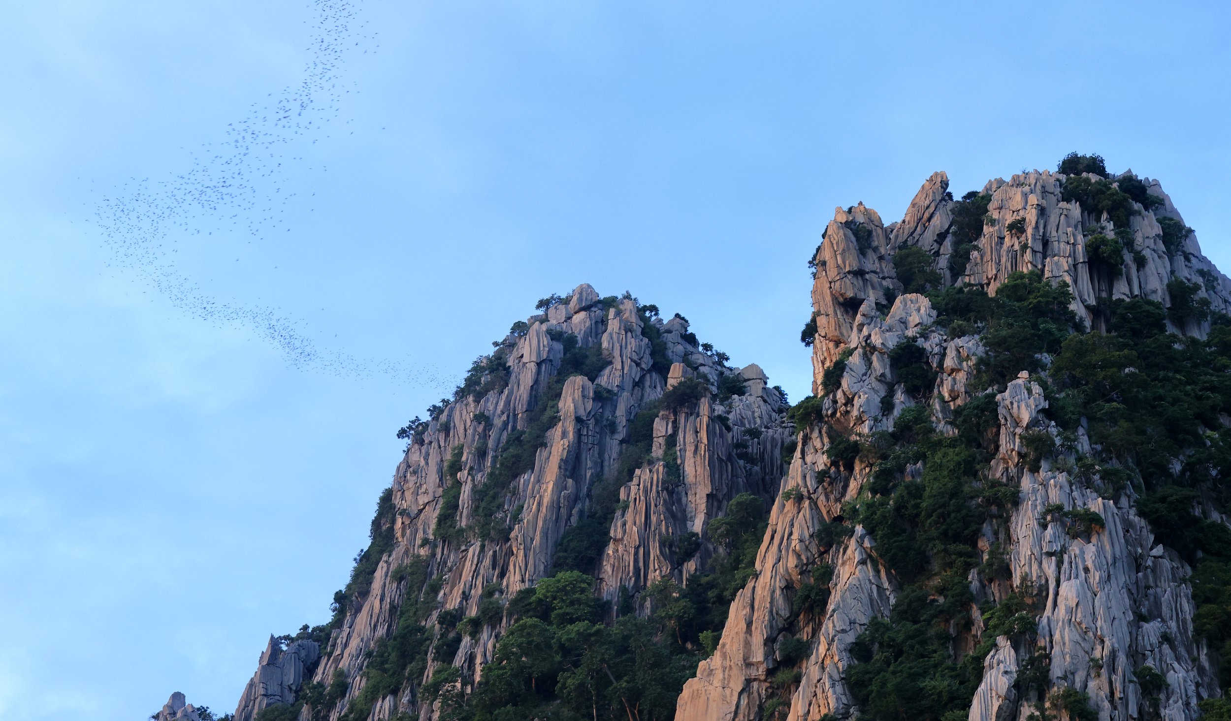 Khao Nor Khao Kaew Bat Viewing Nakhon Sawan (44).jpg