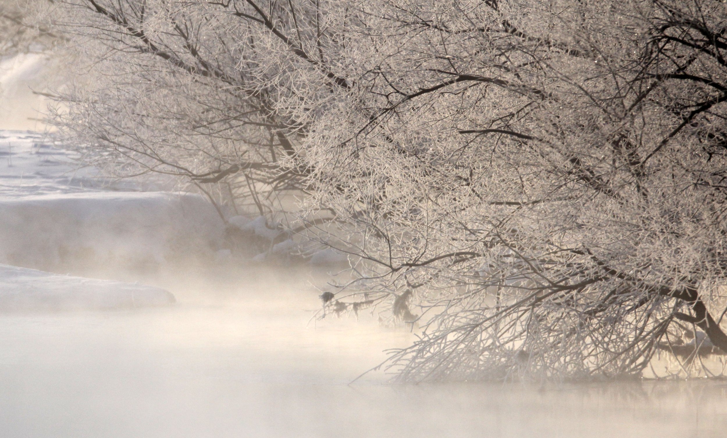 OTOWABASHI - TSURUI TOWN - HOKKAIDO JAPAN (5).JPG