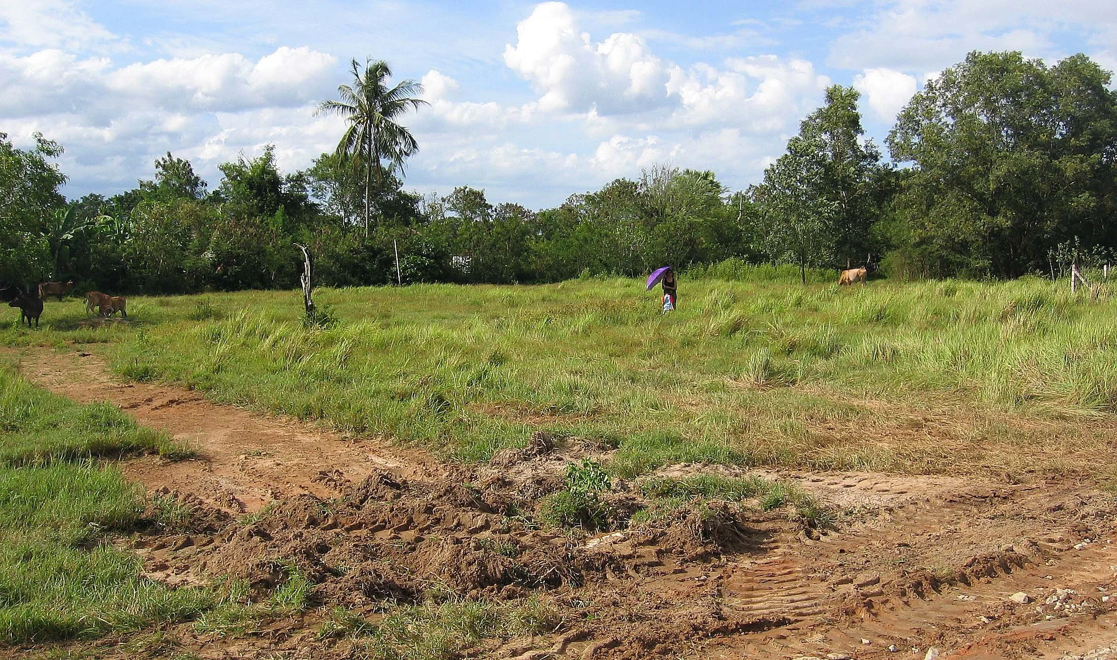 2005 Nakhonsithammarat Property near Tesco (12).JPG