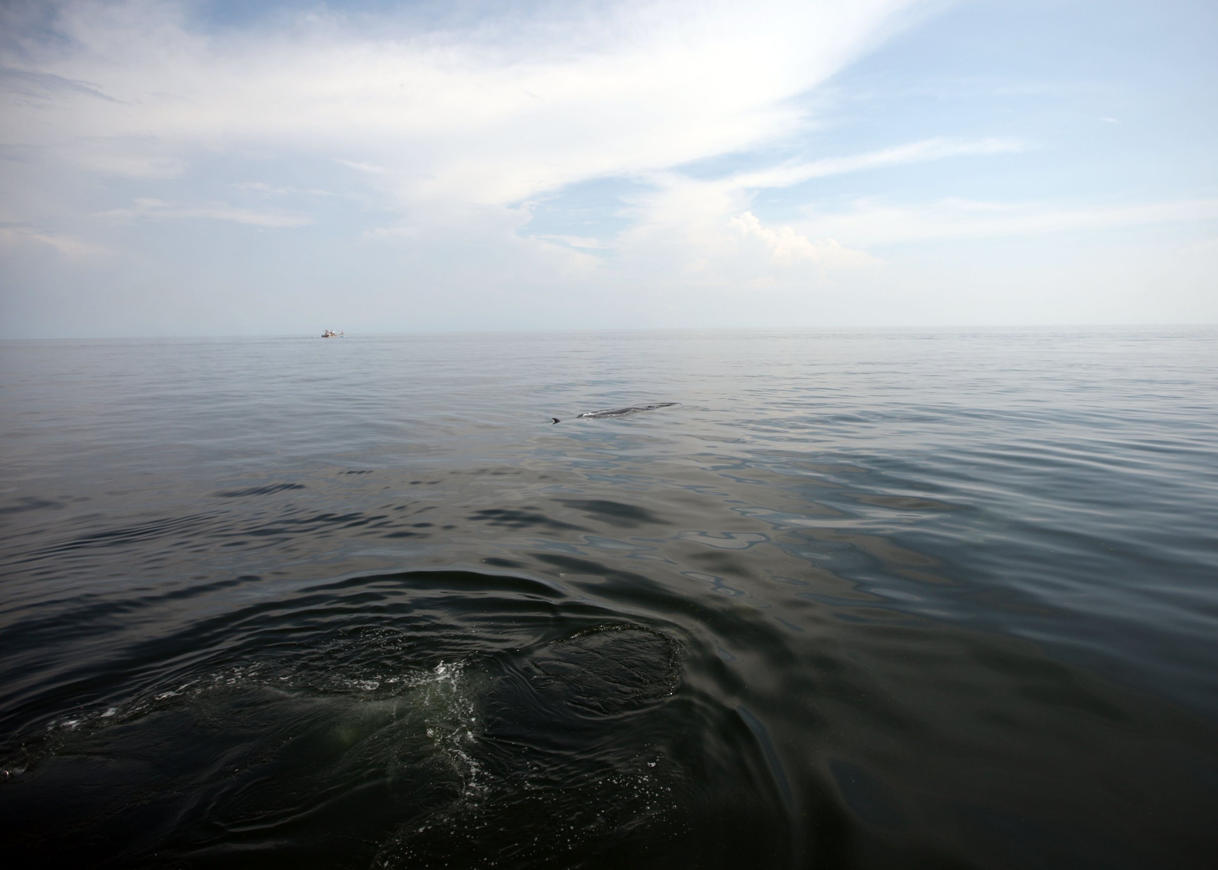 2014 Amphawa Trip to See Whales from Baan Taboon (34).JPG