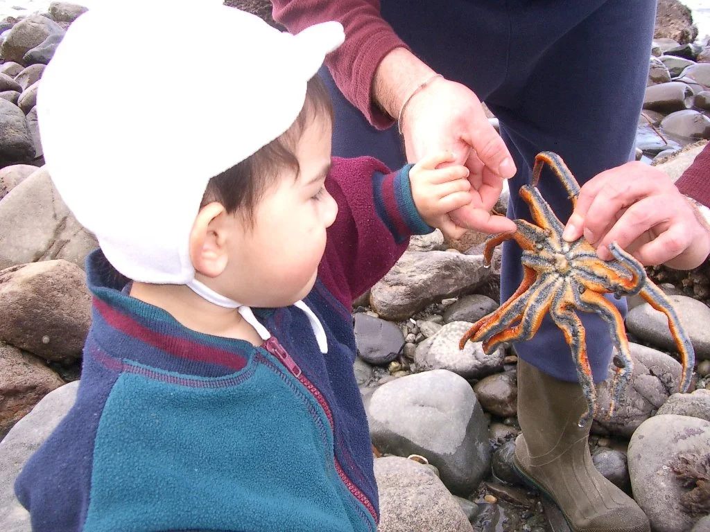 2004-3-12 LAKE FARM DAY AT THE BEACH (20).JPG
