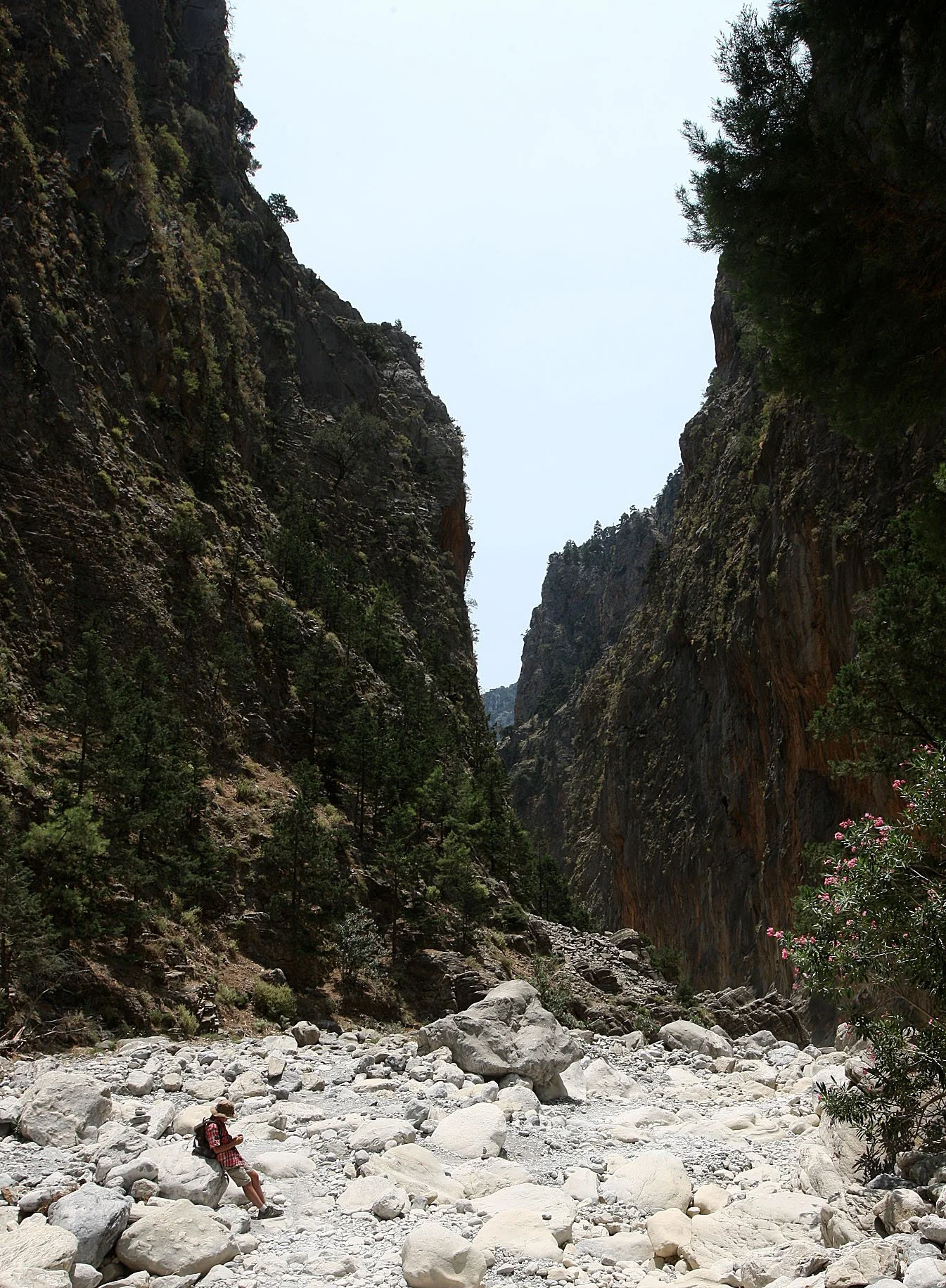 SAMARIA GORGE NATIONAL PARK CRETE (64).JPG