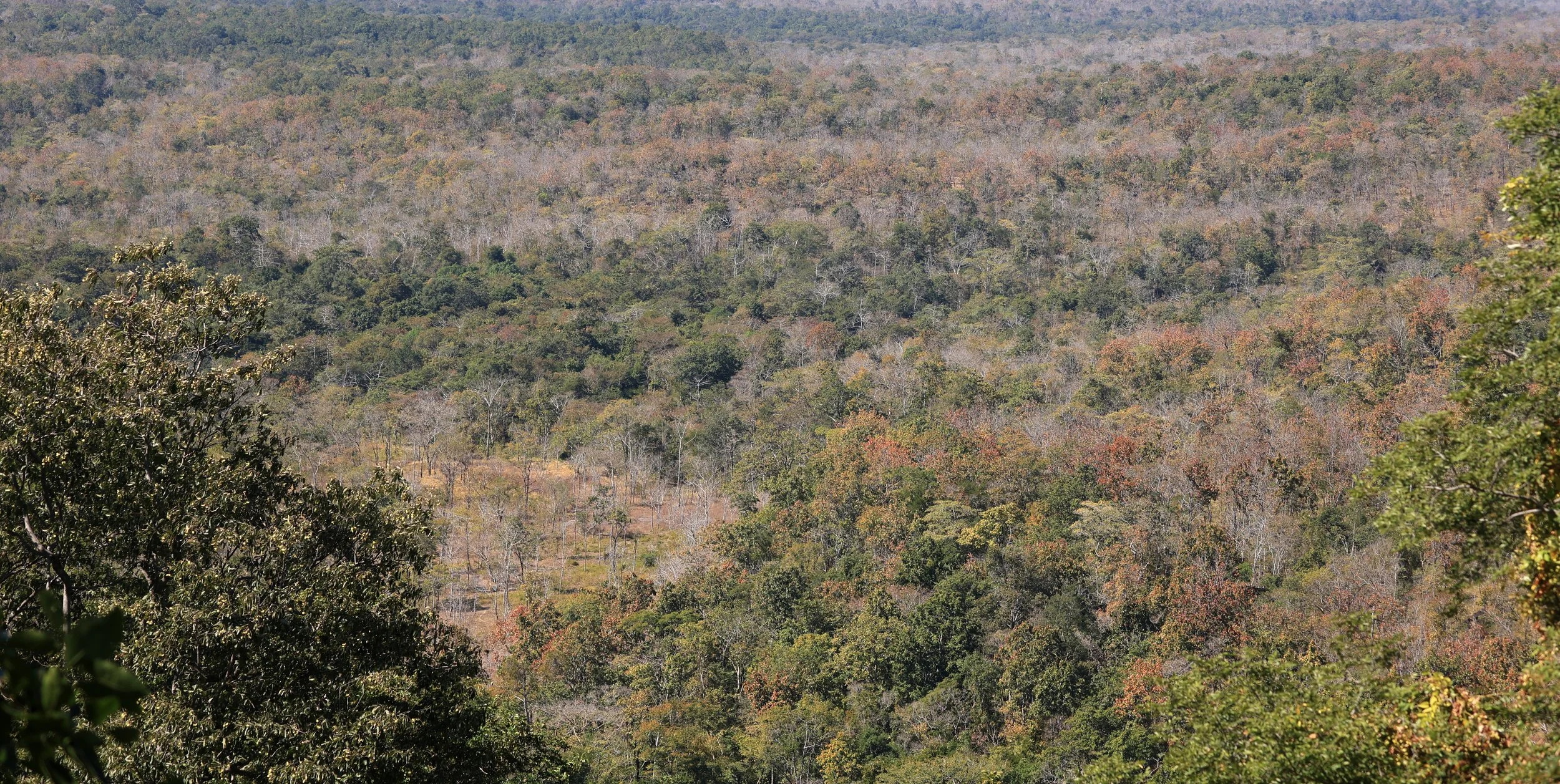 Phu Phan National Park - Kalasin Province (2).jpg